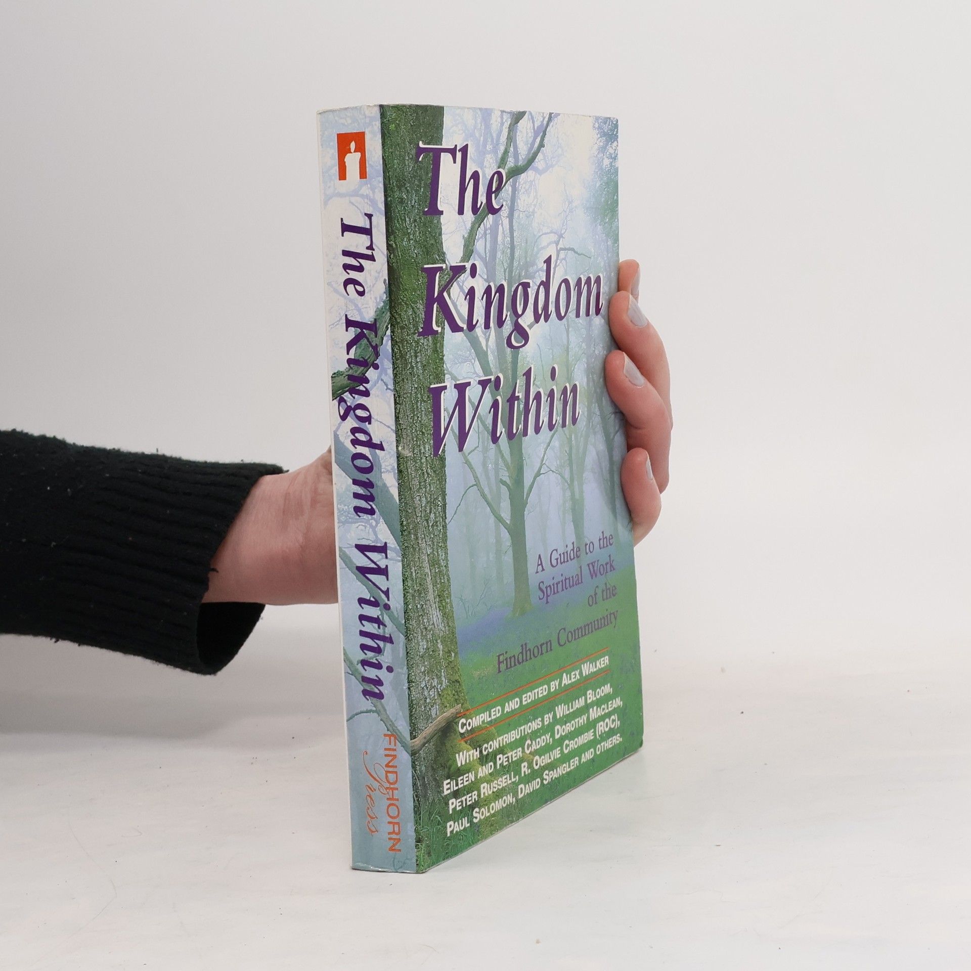 Alex Walker The Kingdom Within