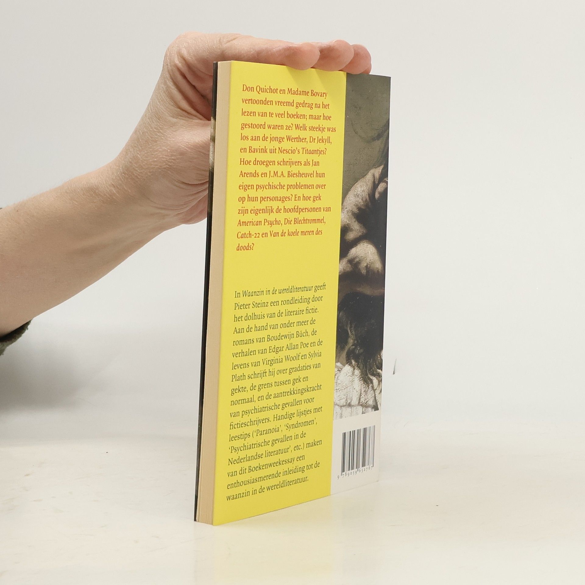 Pieter Steinz Waanzin in de wereldliteratuur