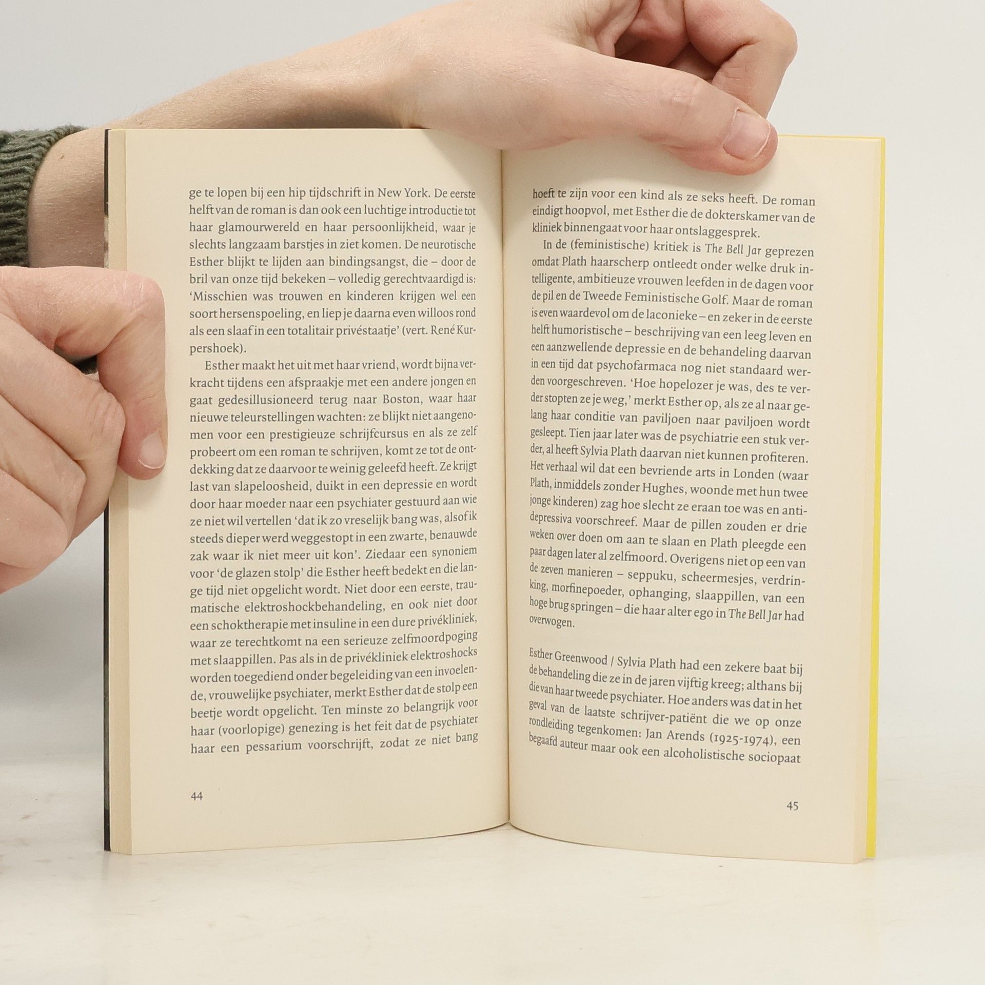 Pieter Steinz Waanzin in de wereldliteratuur