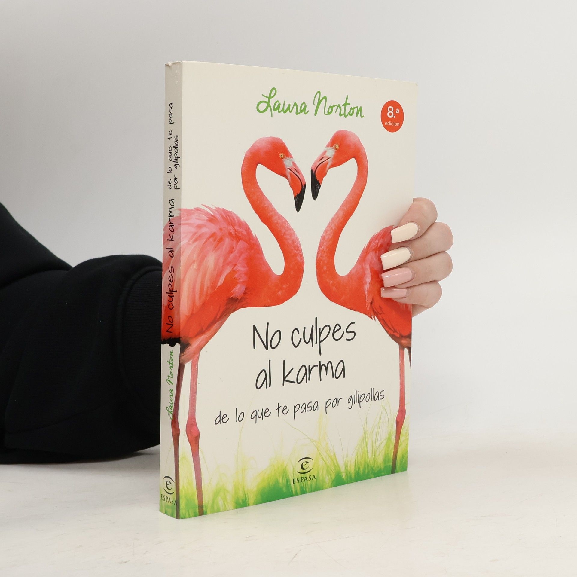 Laura Norton No culpes al karma de lo que te pasa por gilipollas