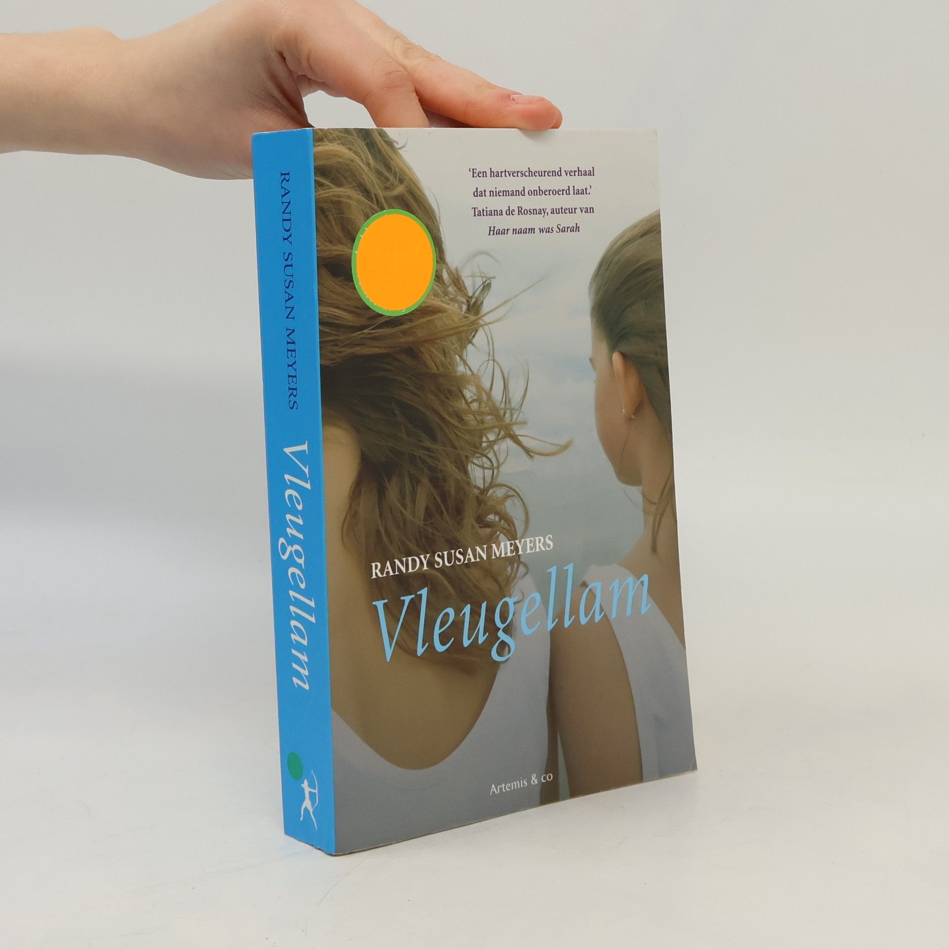 Randy Susan Meyers Vleugellam