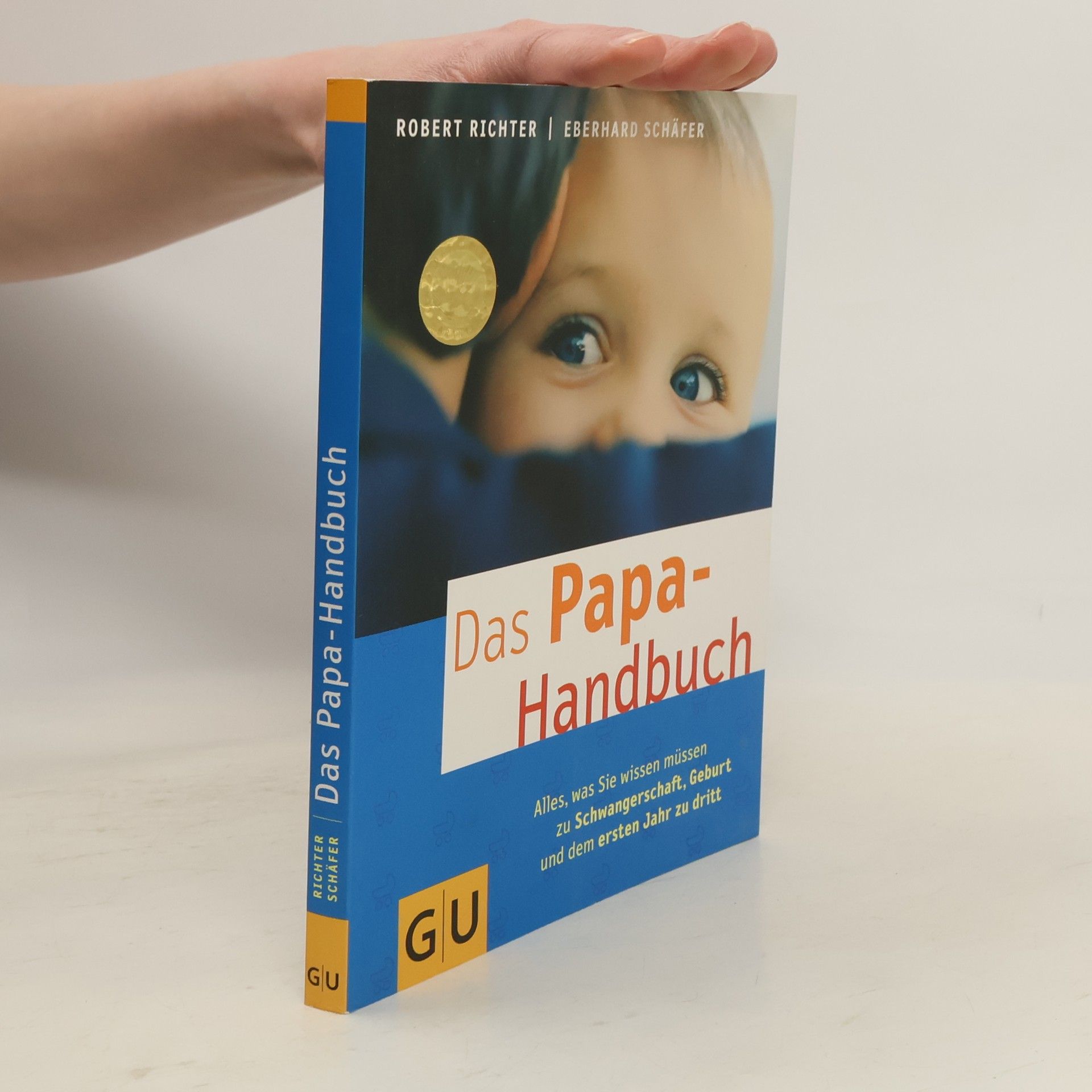 Robert Richter Das Papa-Handbuch