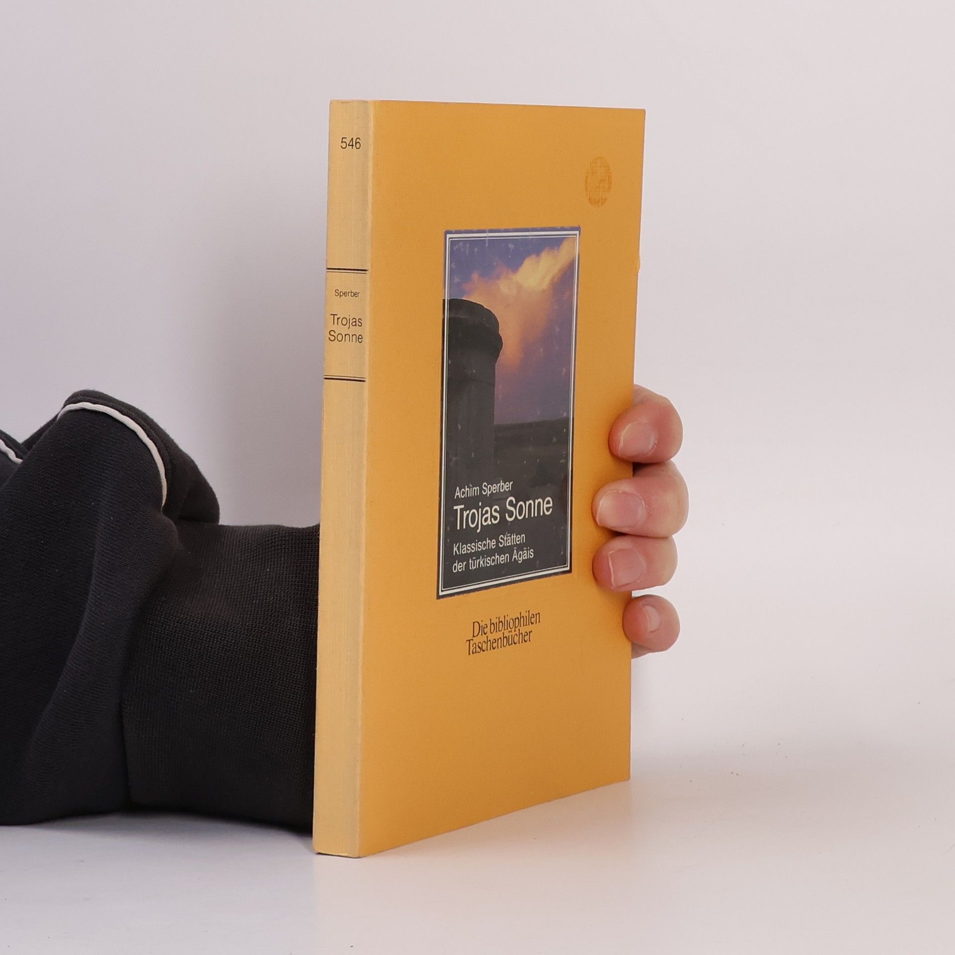 Achim Sperber Trojas Sonne