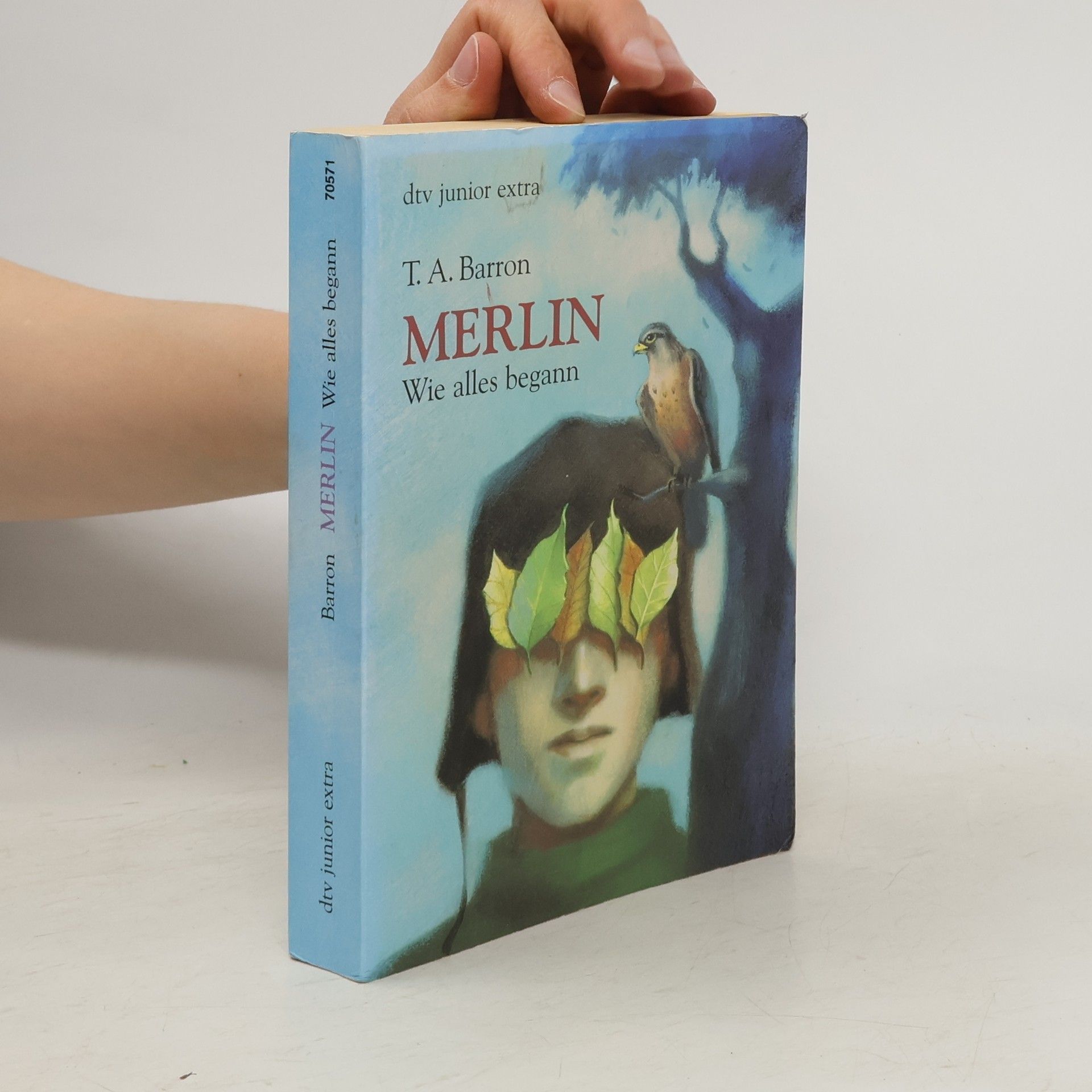 T. A. Barron Merlin. Wie alles begann