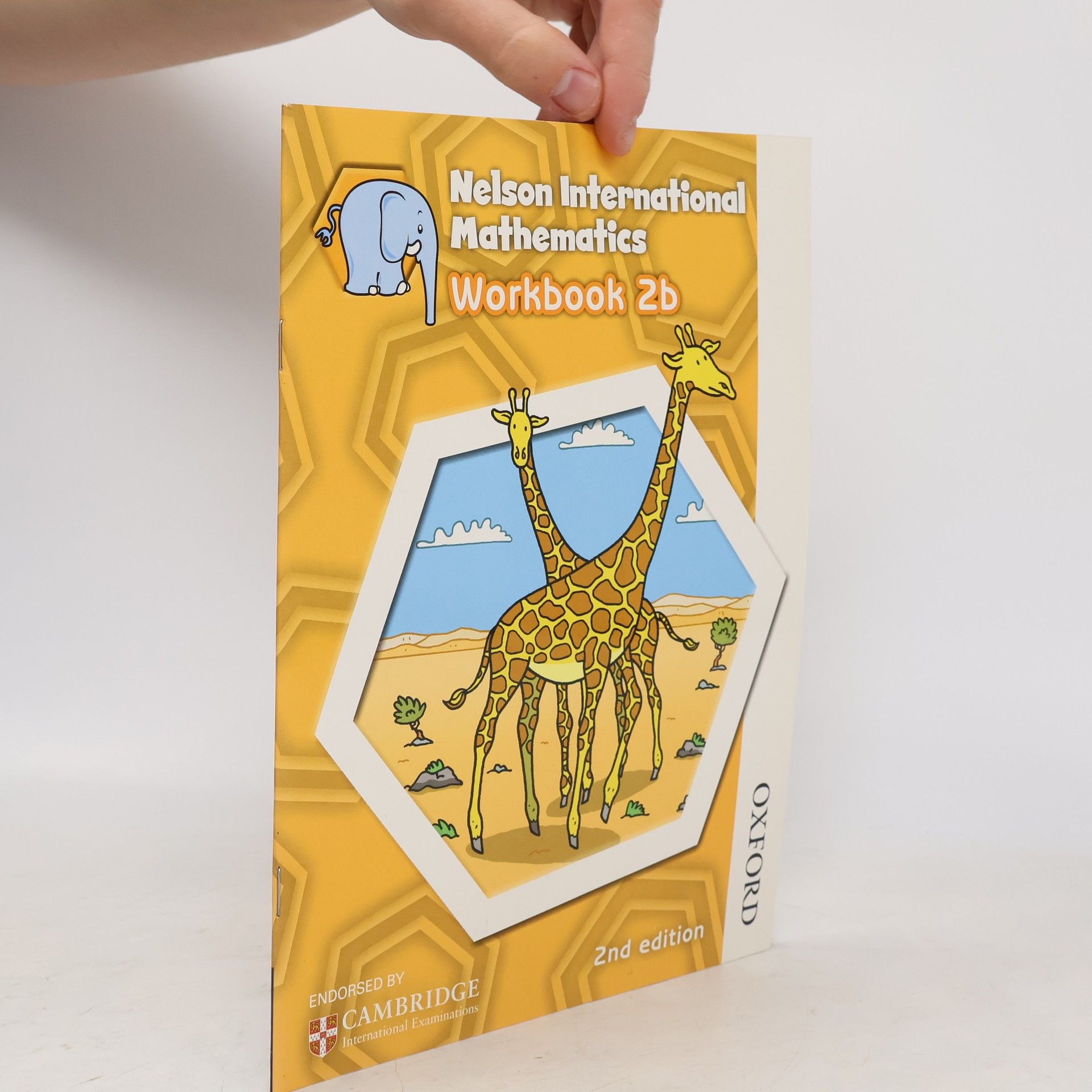 Phillipa Skilicorn Nelson International Mathematics Workbook 2b 2nd Edition