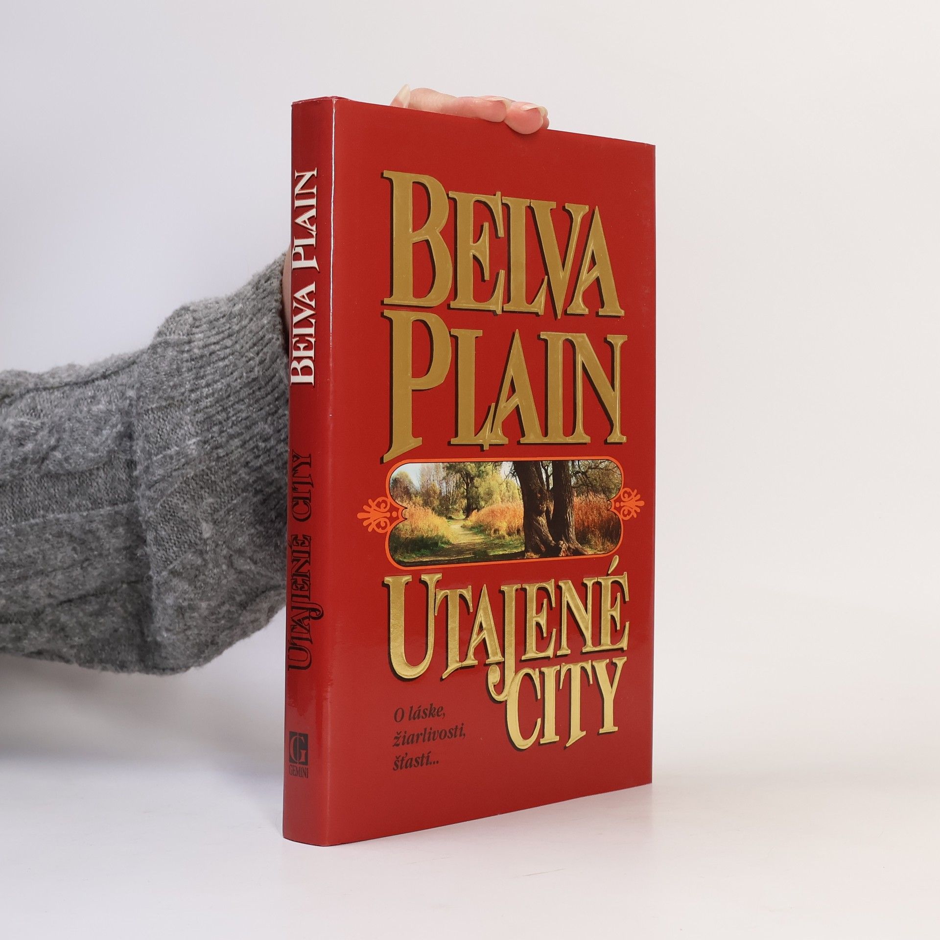 Belva Plain Utajené city