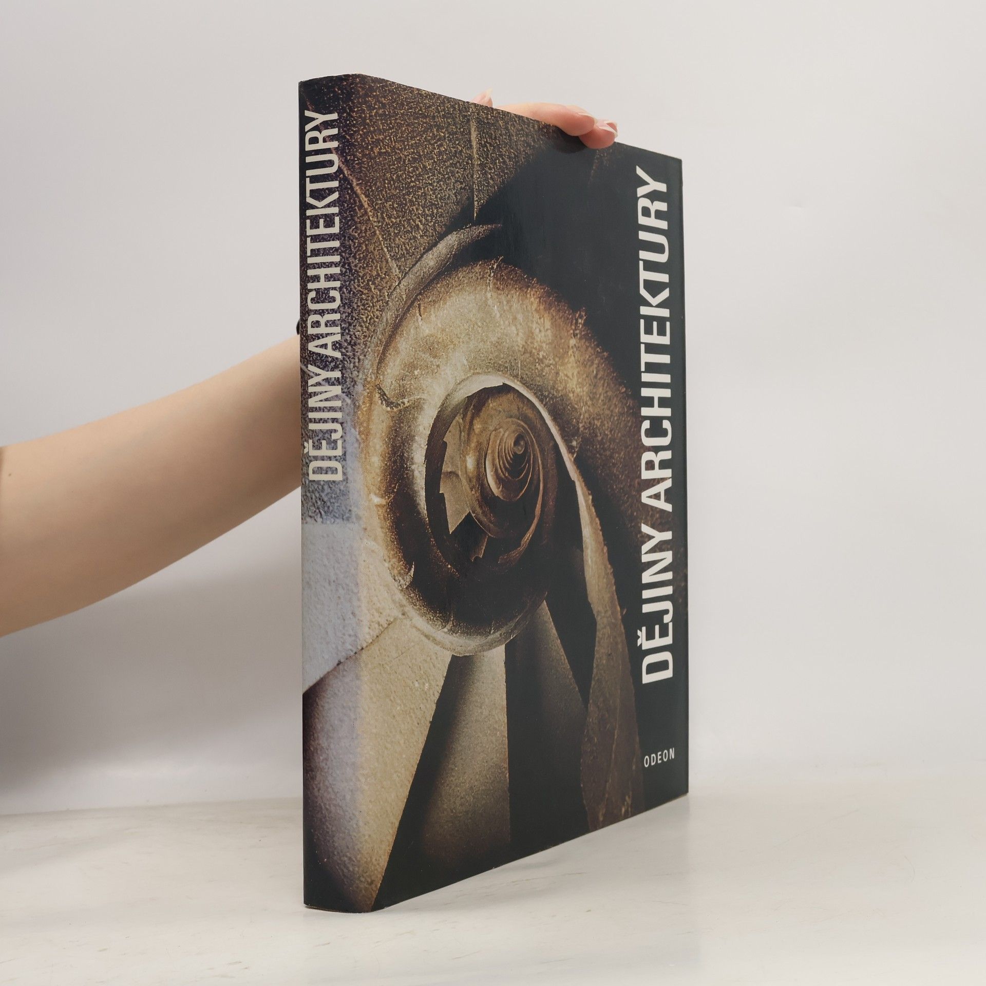 Autorenkollektiv Dějiny architektury