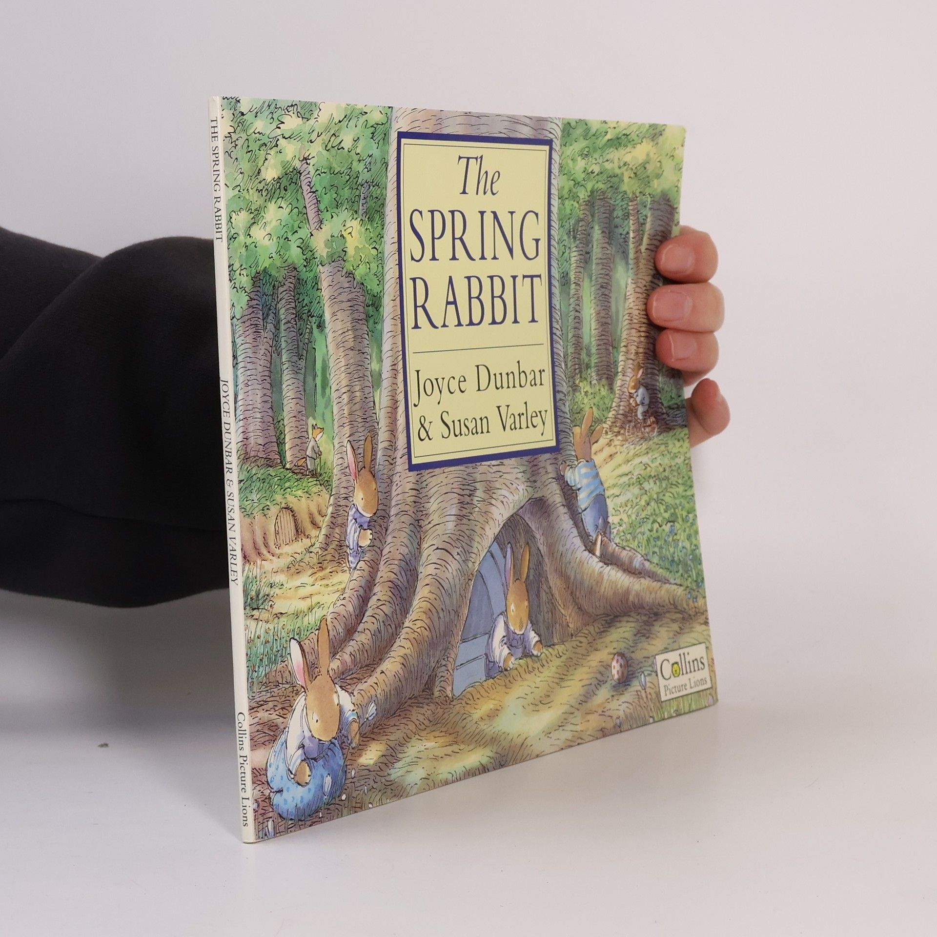 Joyce Dunbar Spring Rabbit