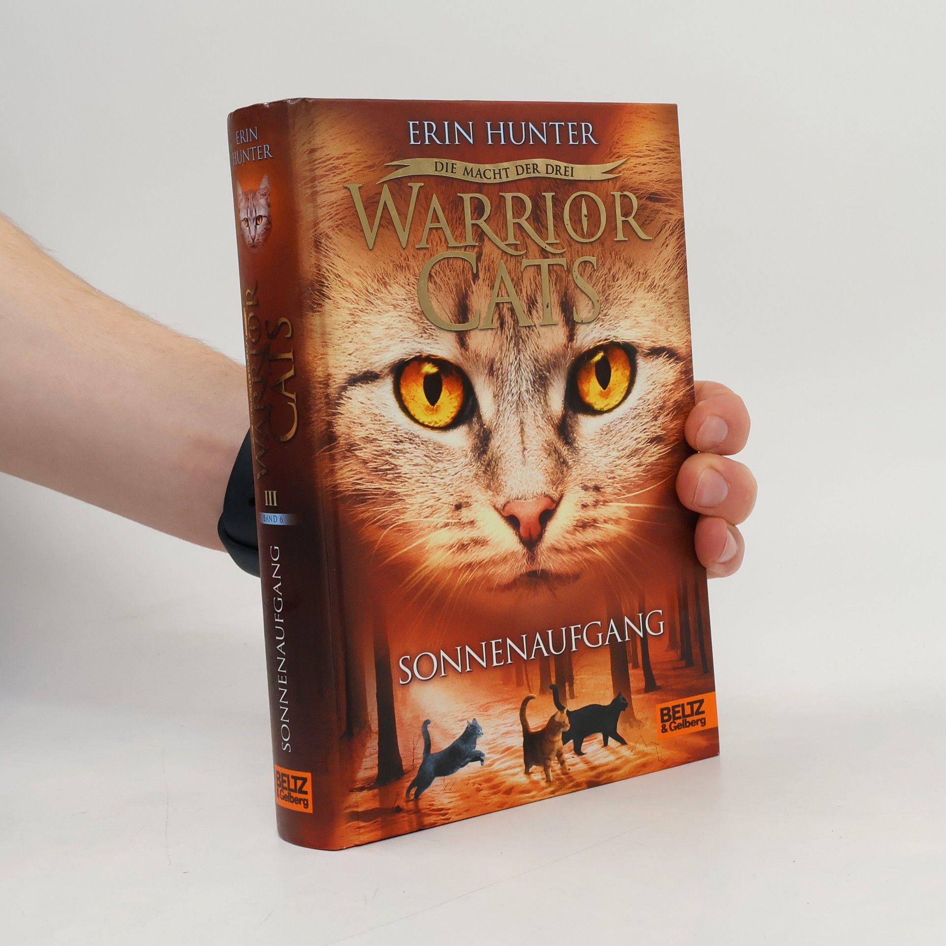 Erin Hunter Warrior Cats. Sonnenaufgang