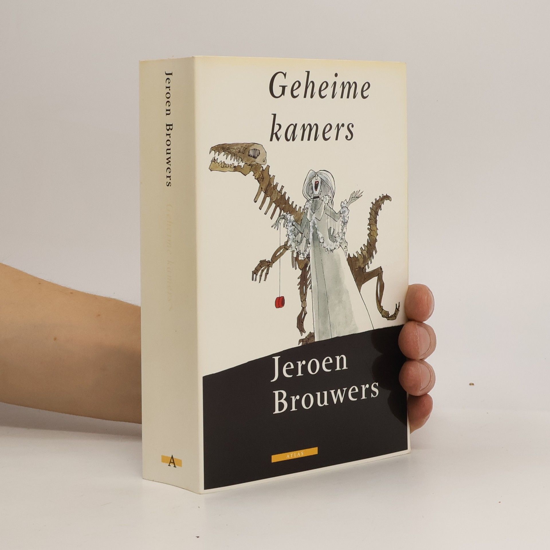 Jeroen Brouwers Geheime kamers