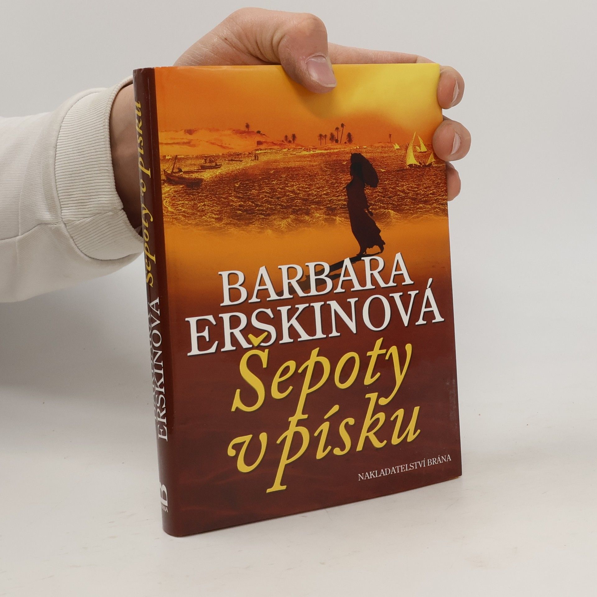 Barbara Erskine Šepoty v písku
