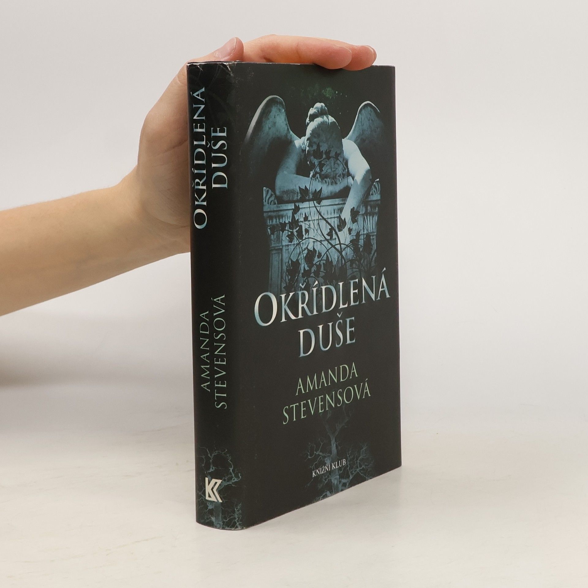 Amanda Stevens Okřídlená duše