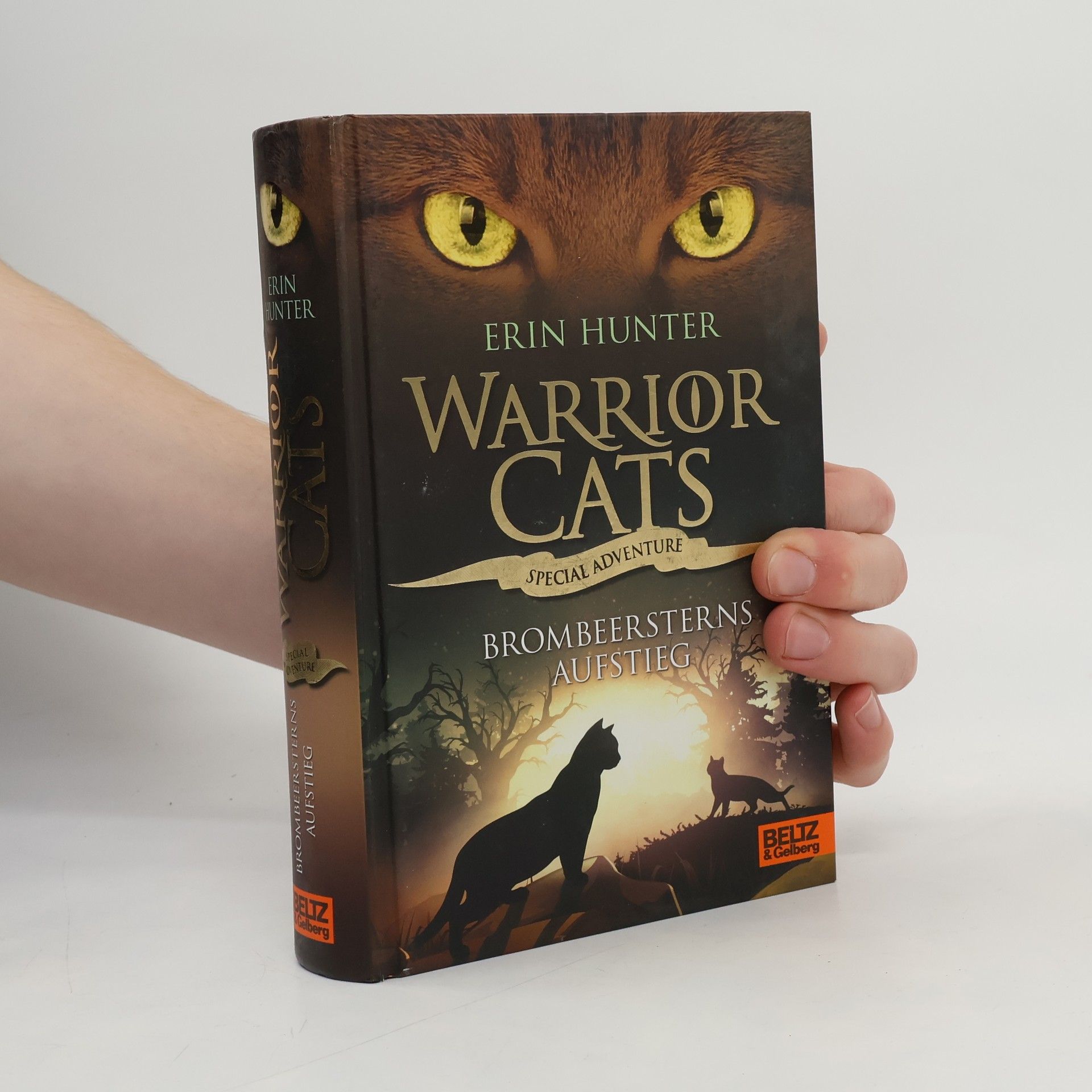 Erin Hunter Brombeersterns Aufstieg