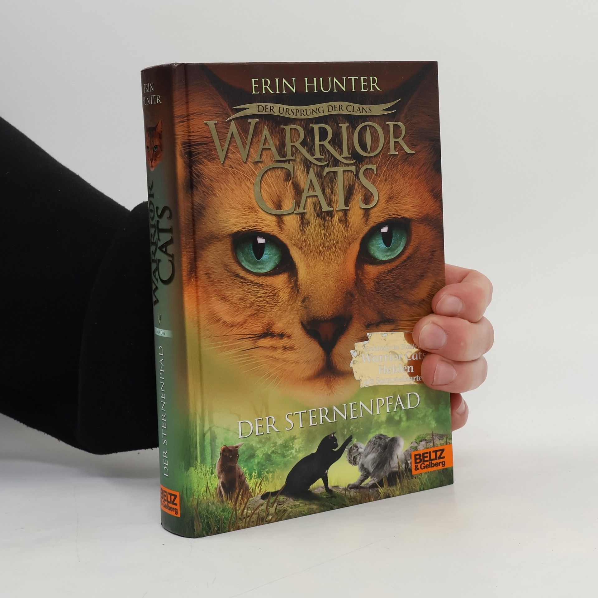 Erin Hunter Der Sternenpfad