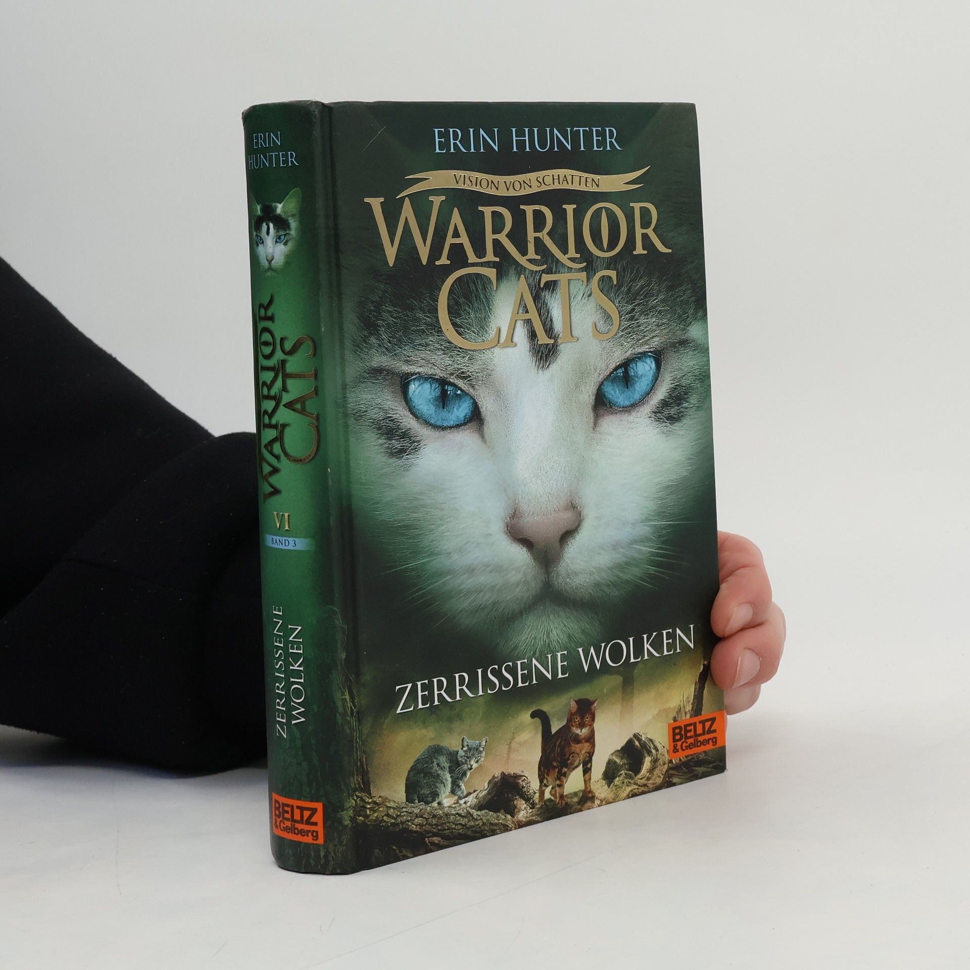 Erin Hunter Zerrissene Wolken