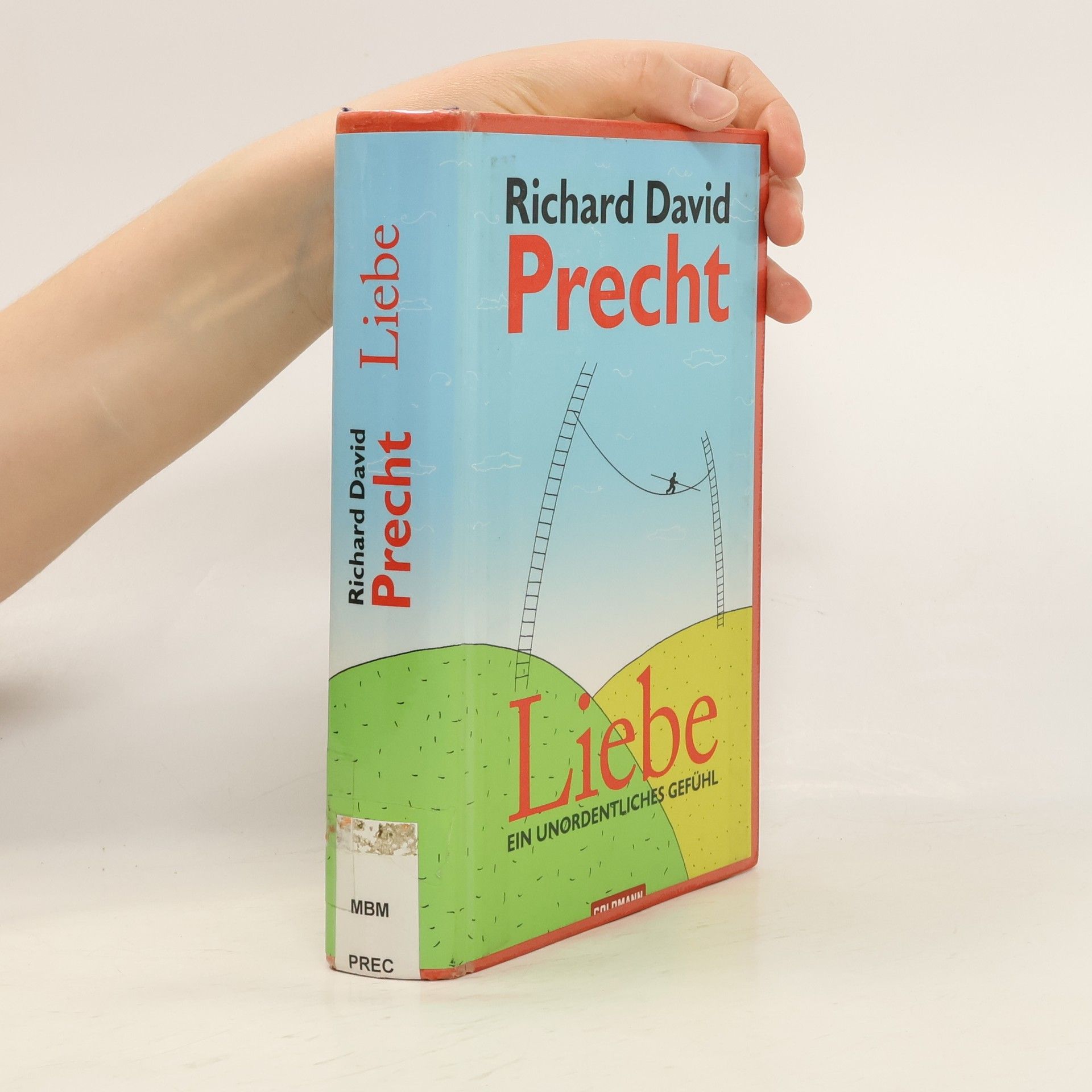 Richard David Precht Liebe ein Unordentliches Gefühl