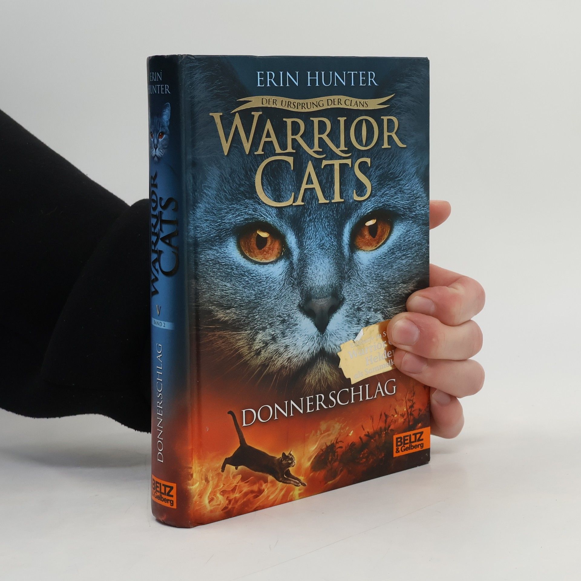 Erin Hunter Donnerschlag