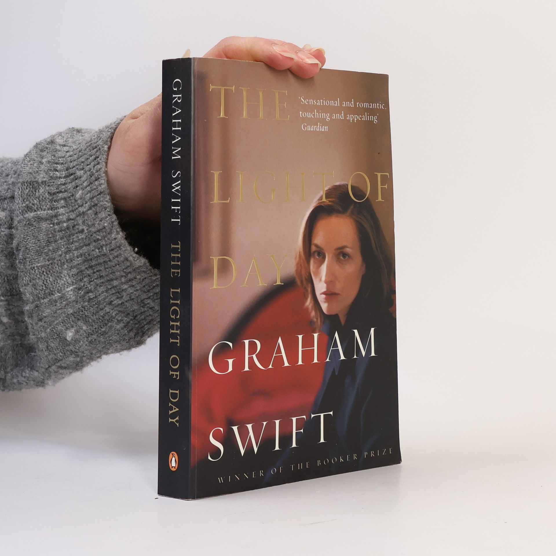 Graham Swift The Light of Day