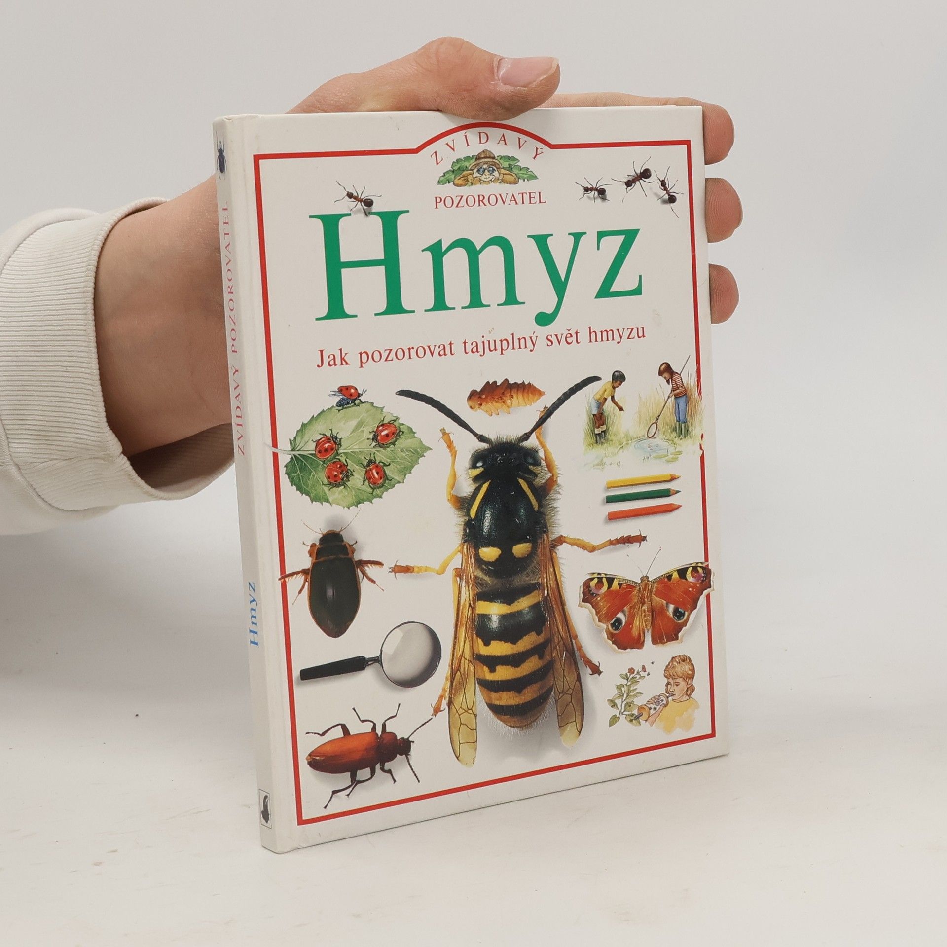 Steve Parker Hmyz, jak pozorovat tajuplný svět hmyzu