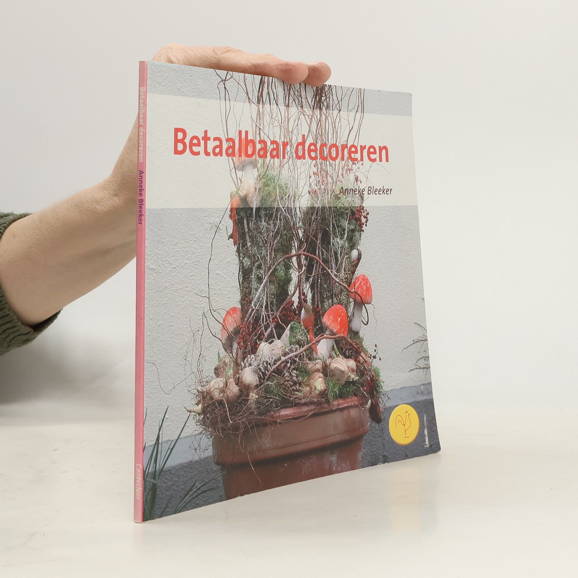 Anneke Bleeker Betaalbaar decoreren