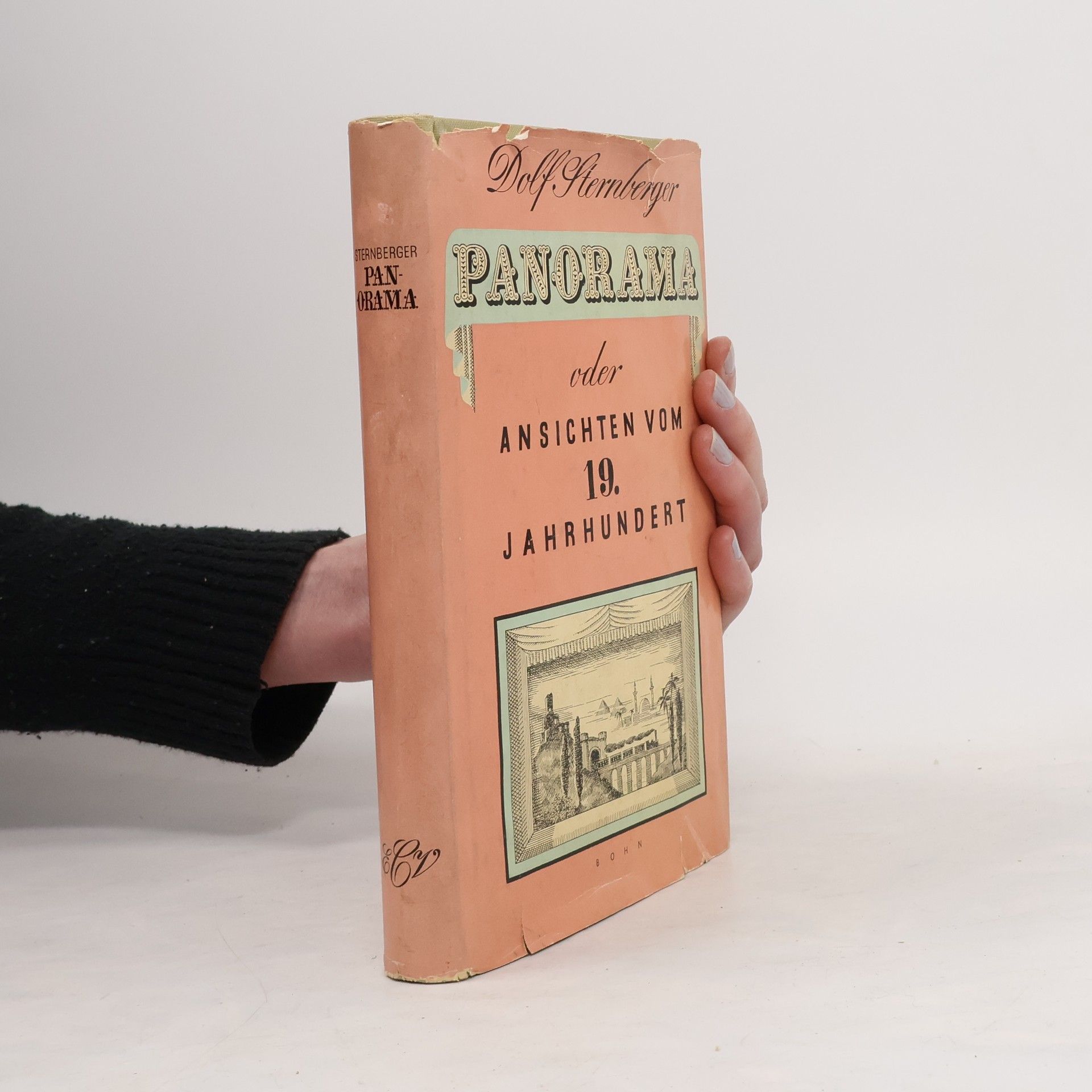 Dolf Sternberger Panorama oder Ansichten vom 19. Jahrhundert