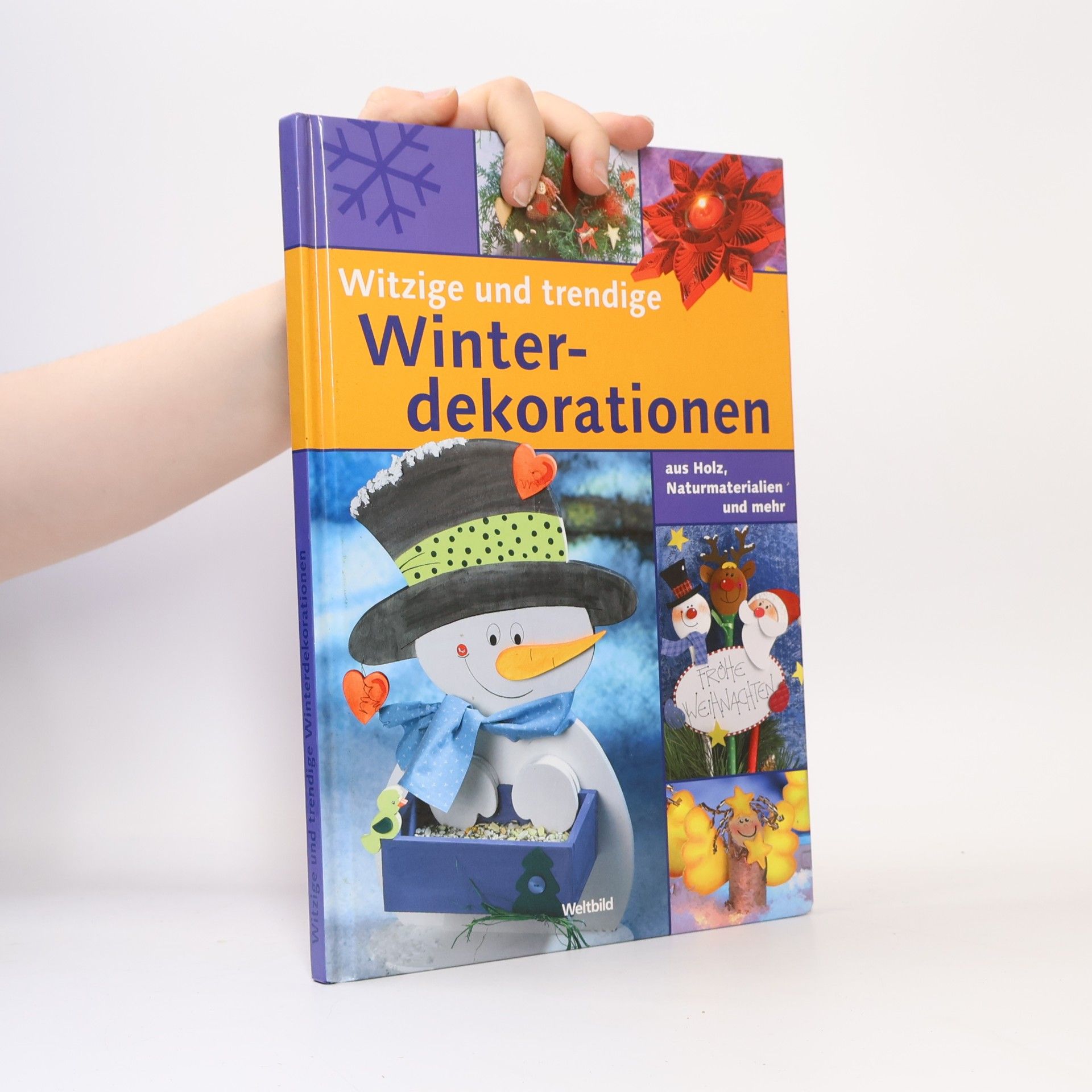 Autorenkollektiv Witzige und trendige Winterdekorationen