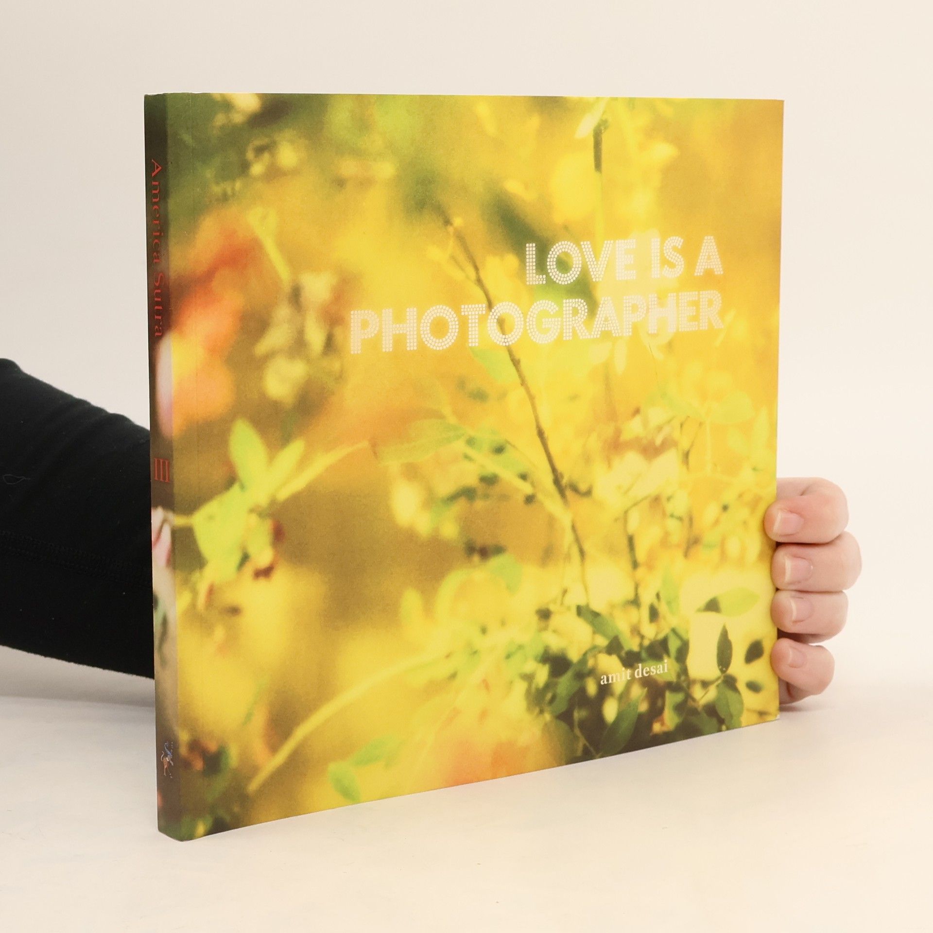 Amir Desai America Sutra