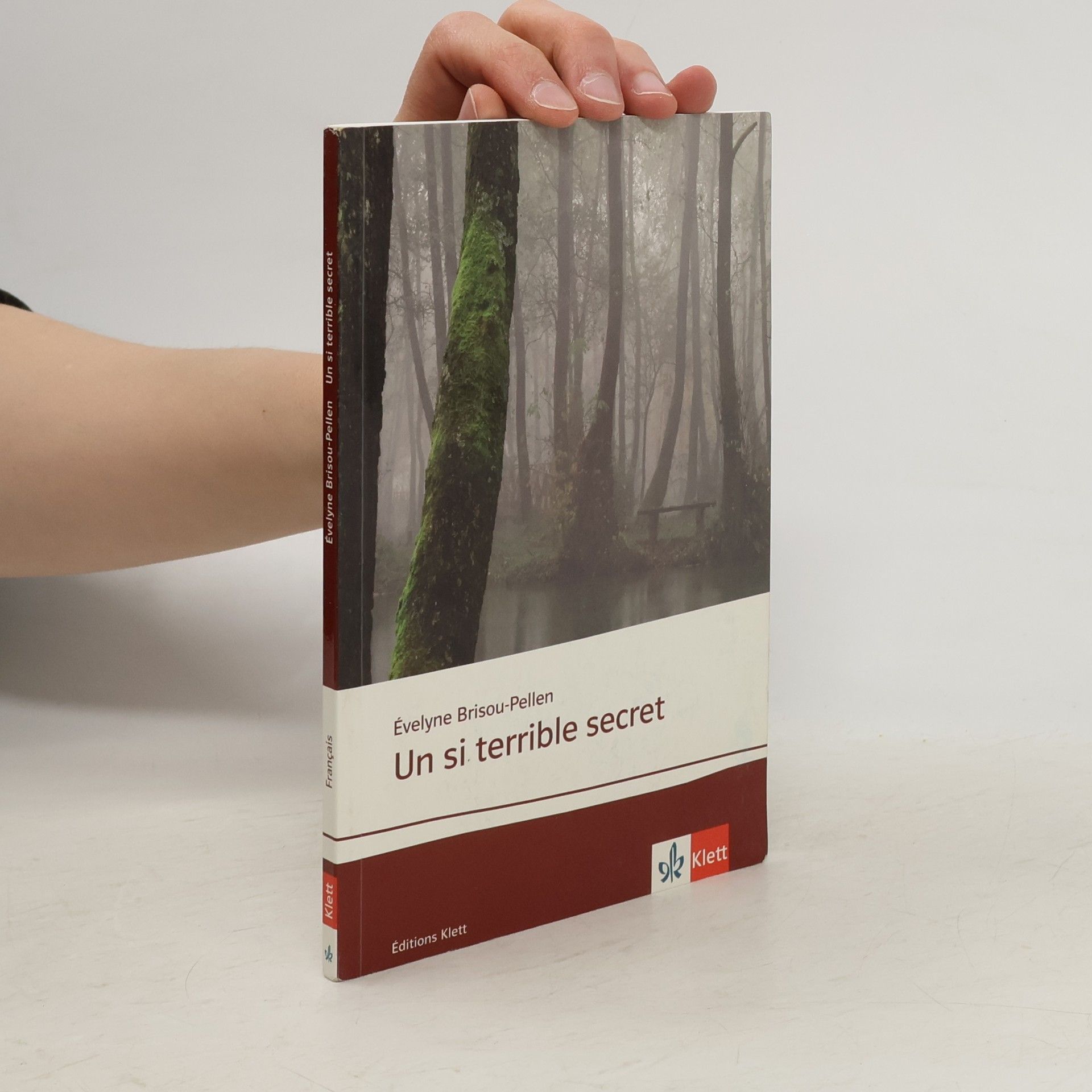 Evelyne Brisou-Pellen Un si terrible secret