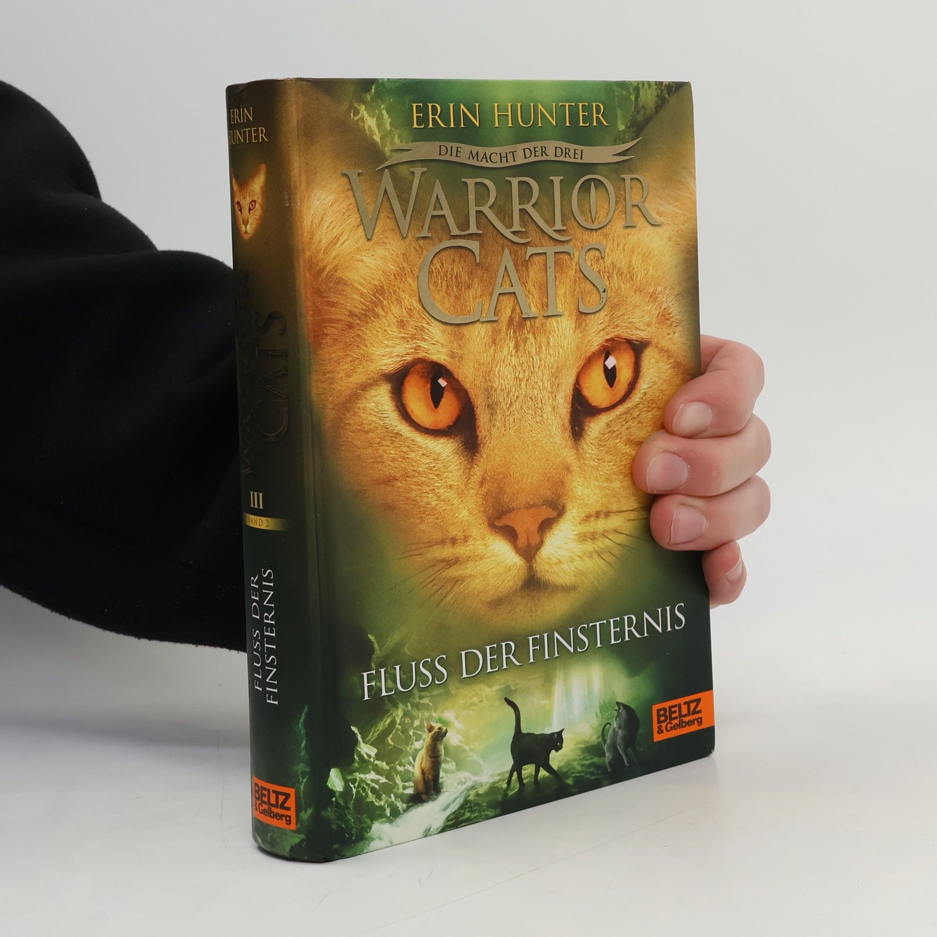 Erin Hunter Warrior Cats. Fluss der Finsternis