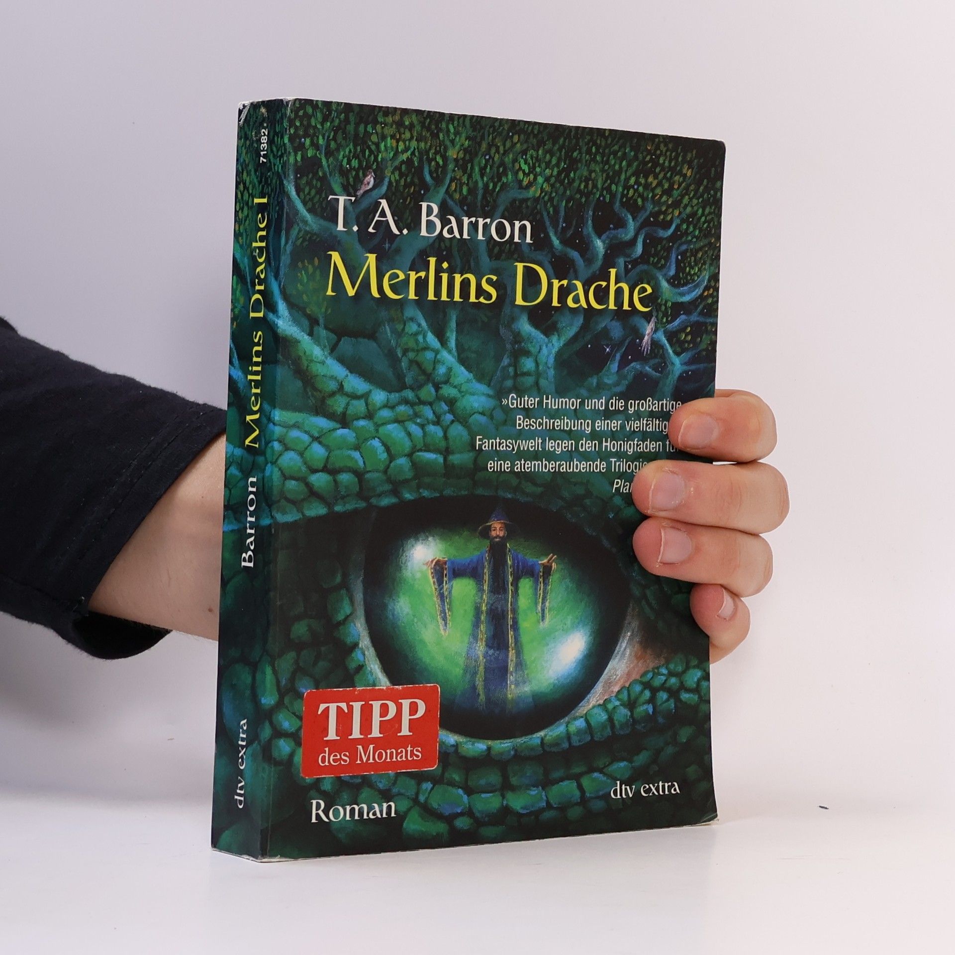 T. A. Barron Merlins Drache 1