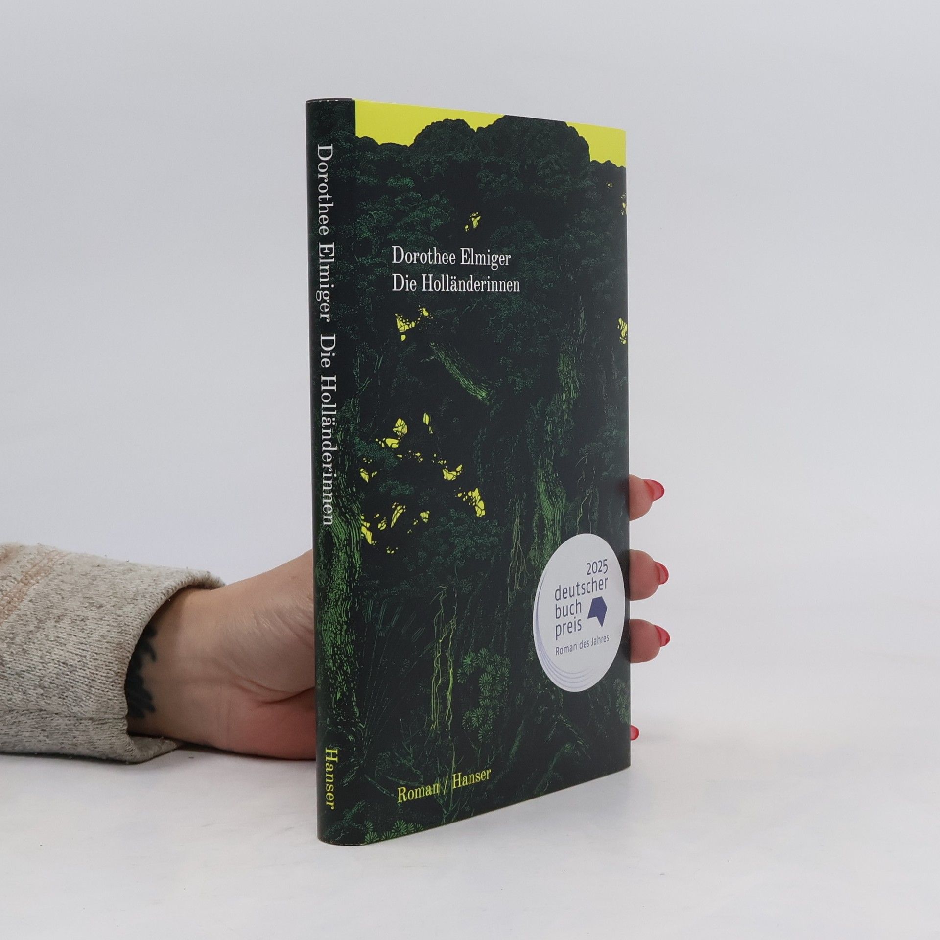 Dorothee Elmiger Die Holländerinnen