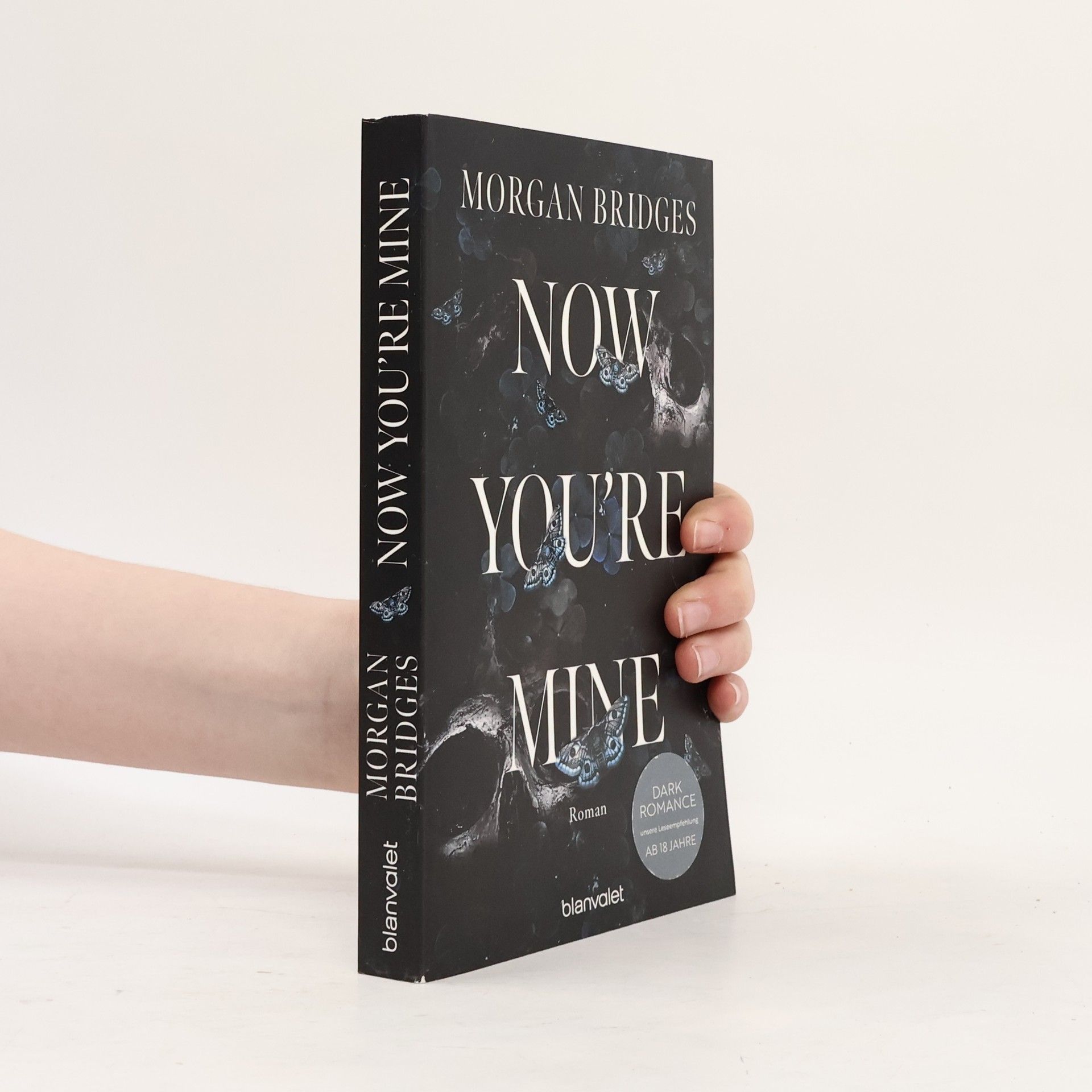 Morgan Bridges Now You're Mine