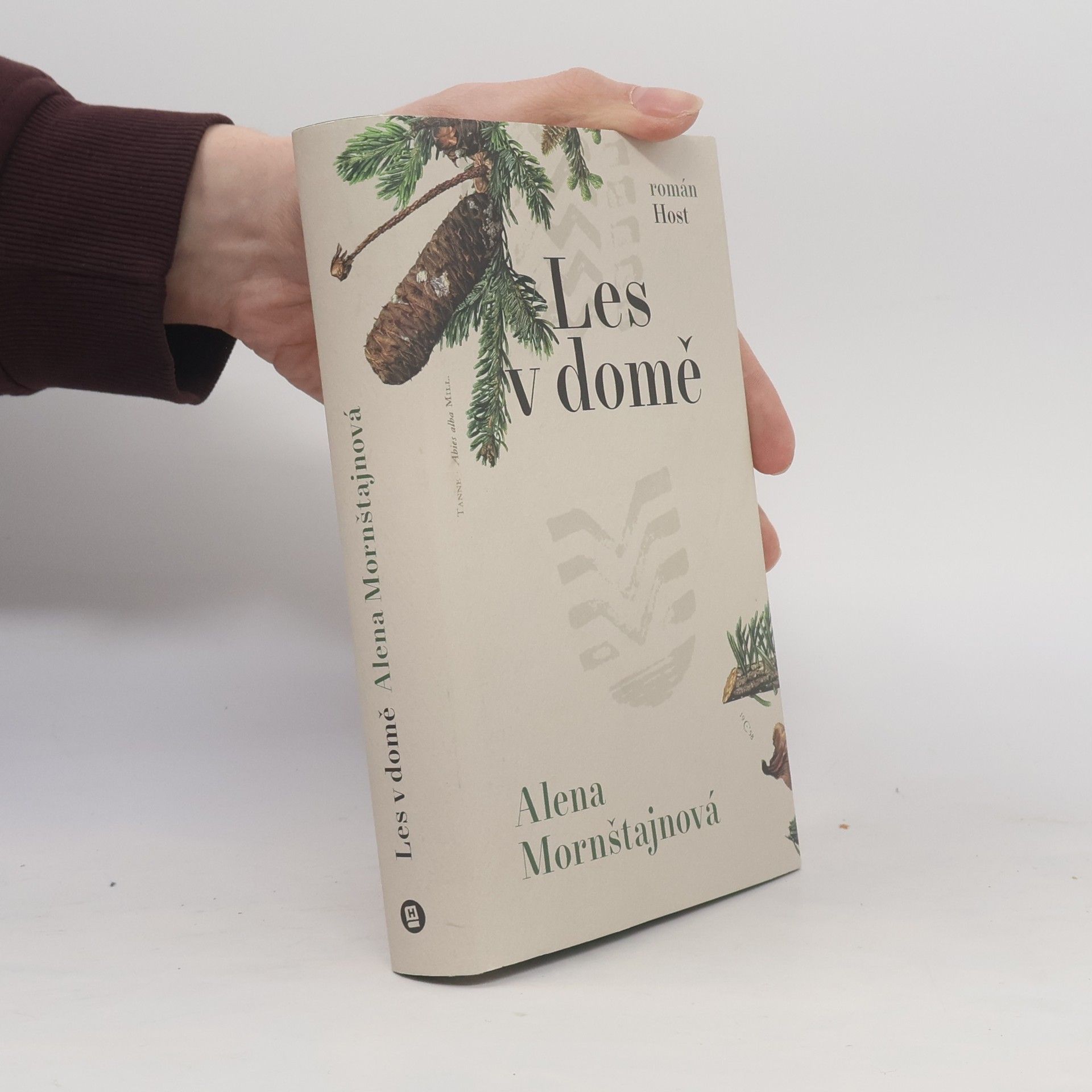 Alena Mornštajnová Les v domě