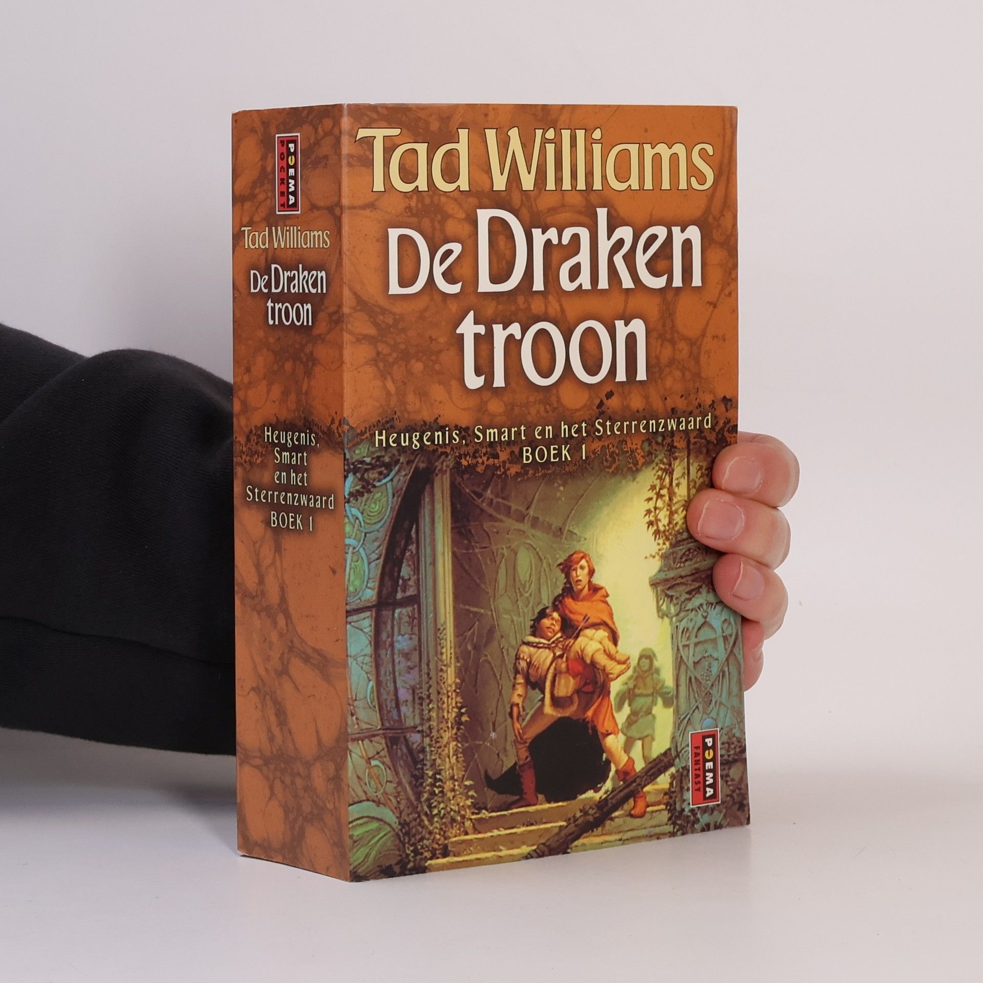 Tad Williams De Drakentroon
