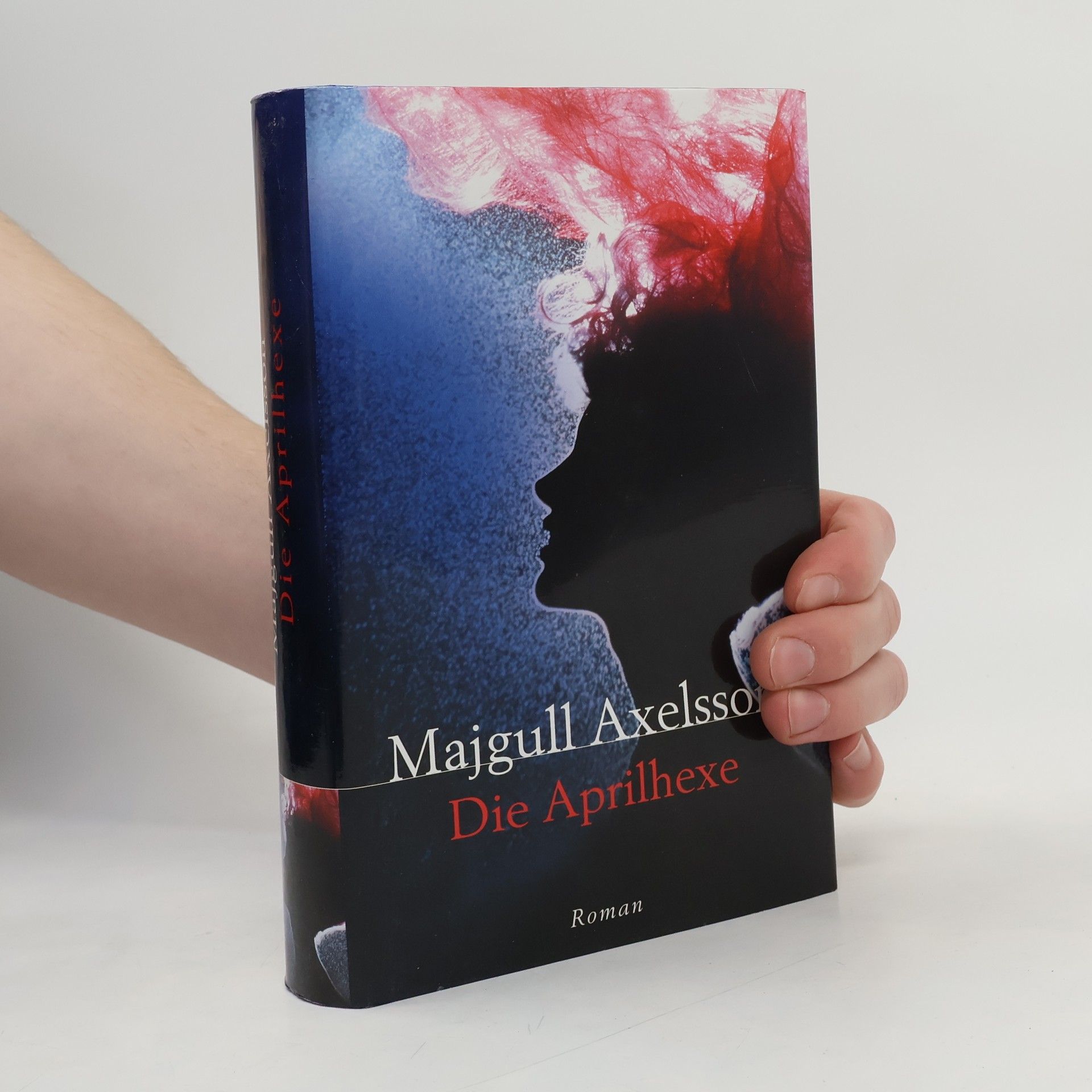 Majgull Axelsson Die Aprilhexe