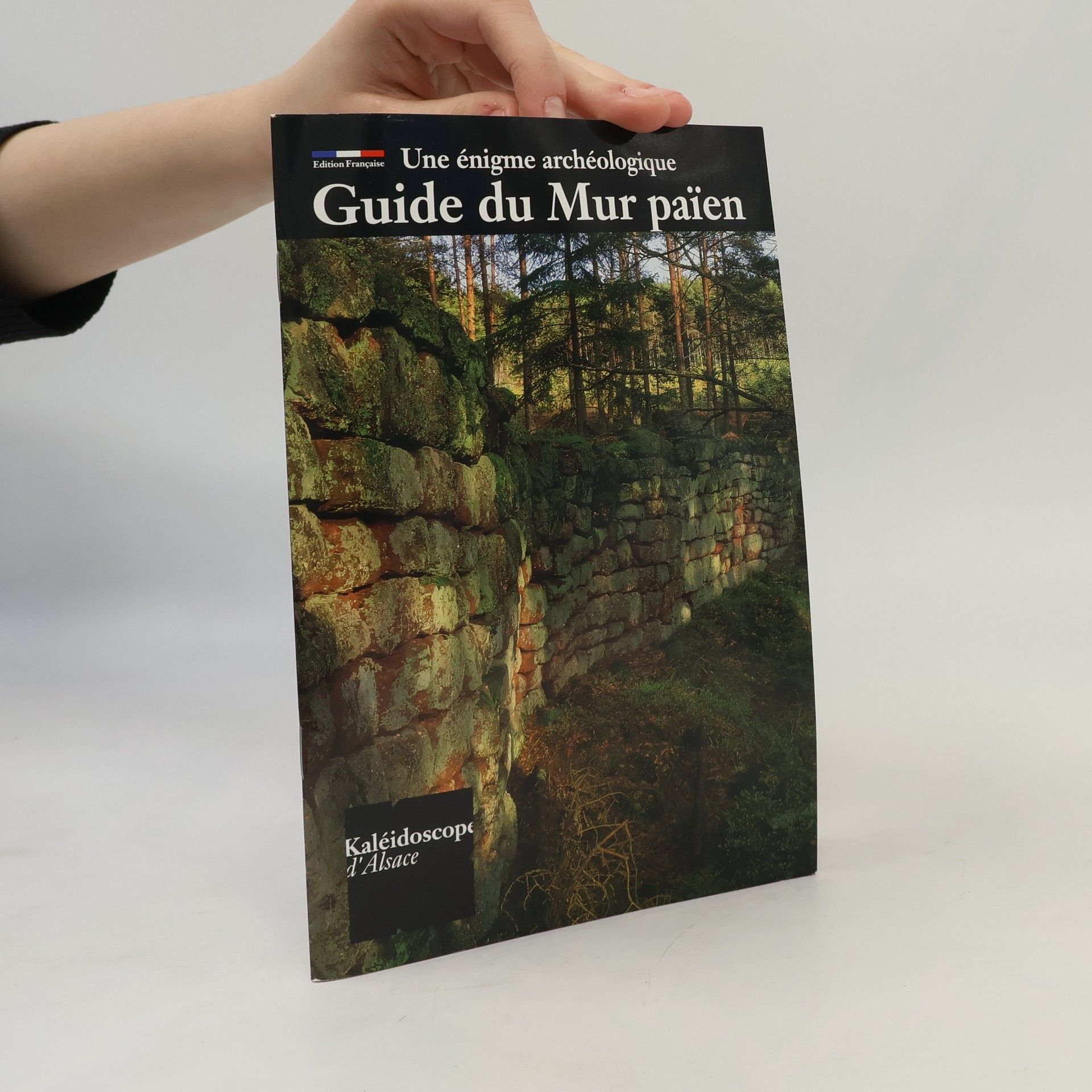 Francis Mantz Kaléidoscope d'Alsace: Guide du mur païen