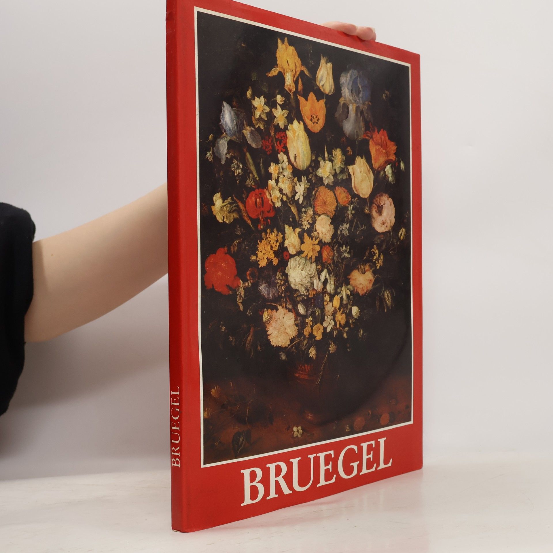 Autorenkollektiv Bruegel