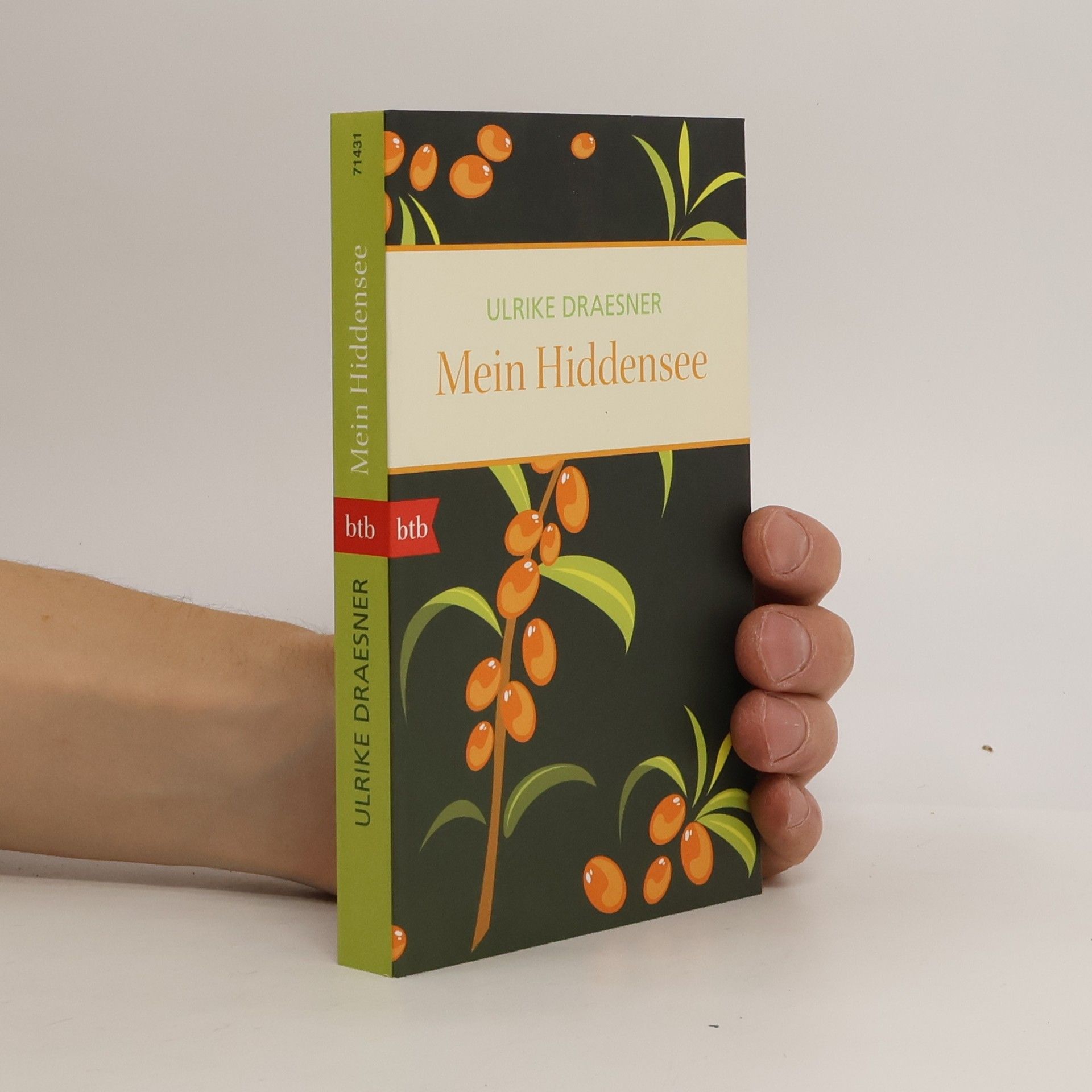 Ulrike Draesner Mein Hiddensee