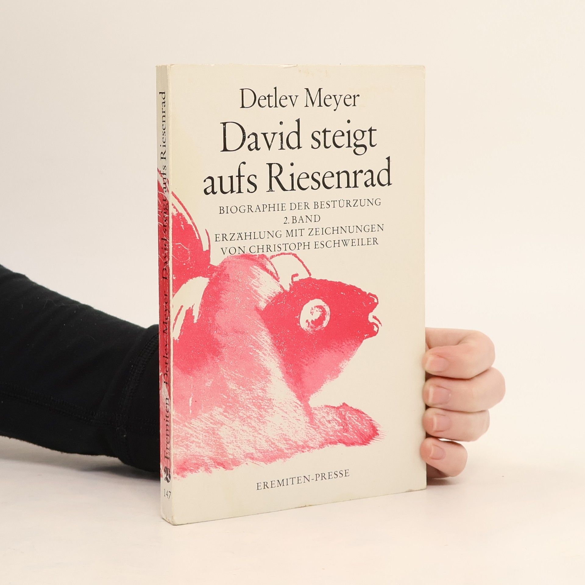 Detlev Meyer David steigt aufs Riesenrad