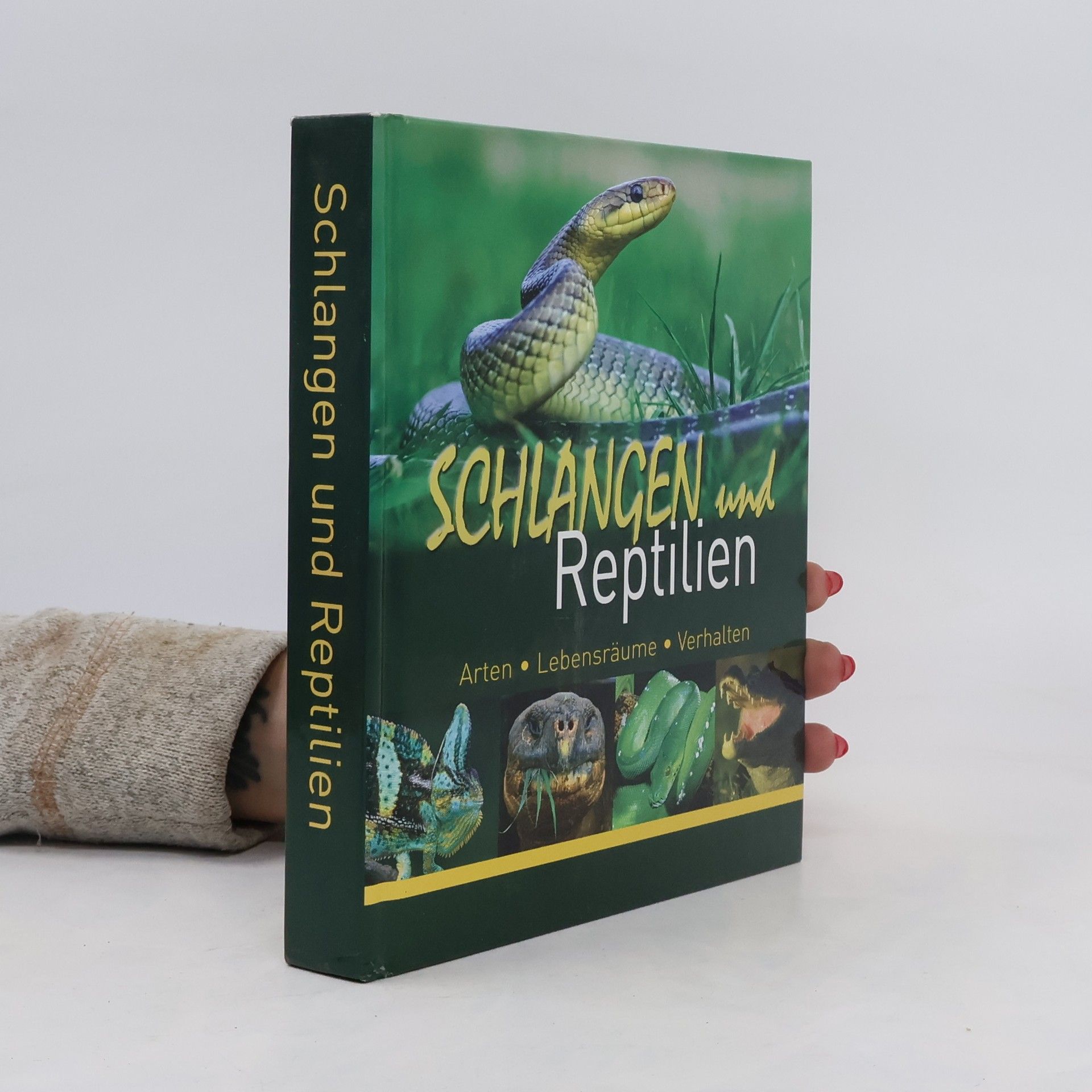 Autorenkollektiv Schlangen und Reptilien