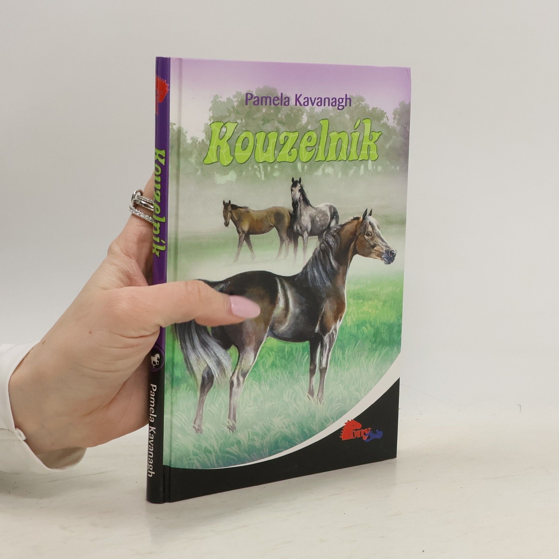 Pamela Kavanagh Kouzelník