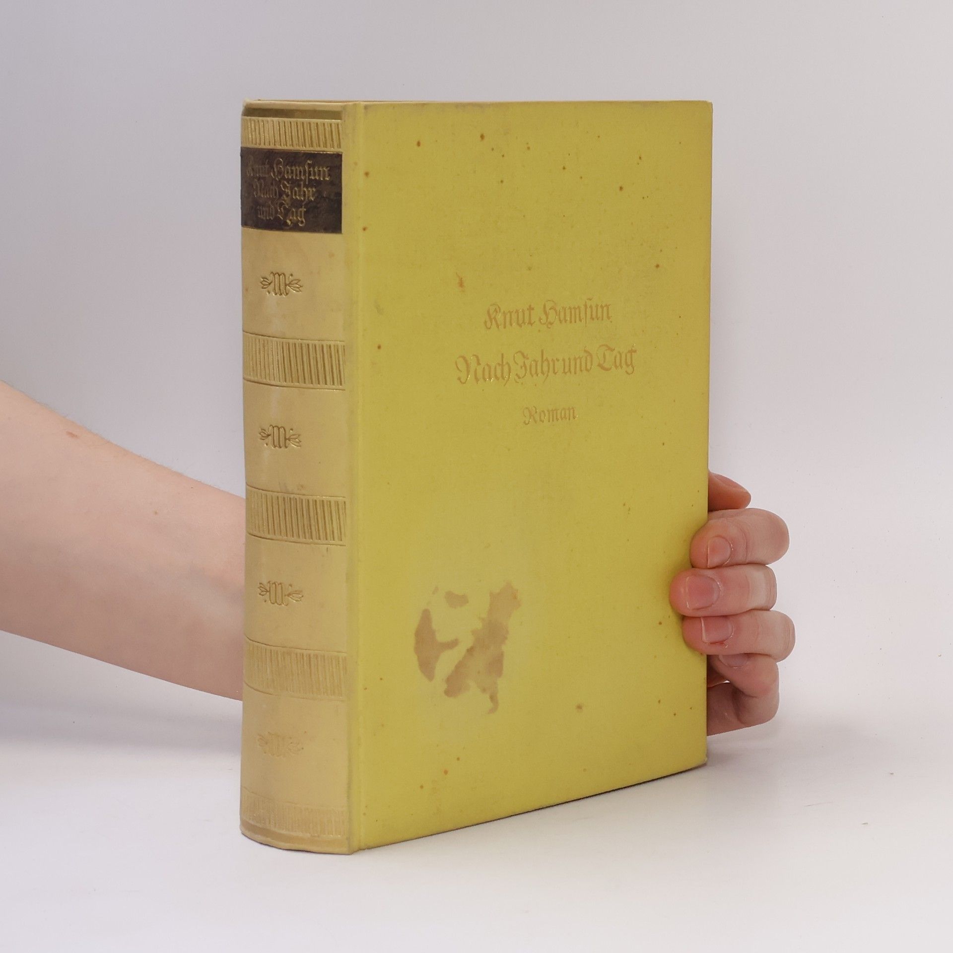 Knut Hamsun Nach Jahr und Tag