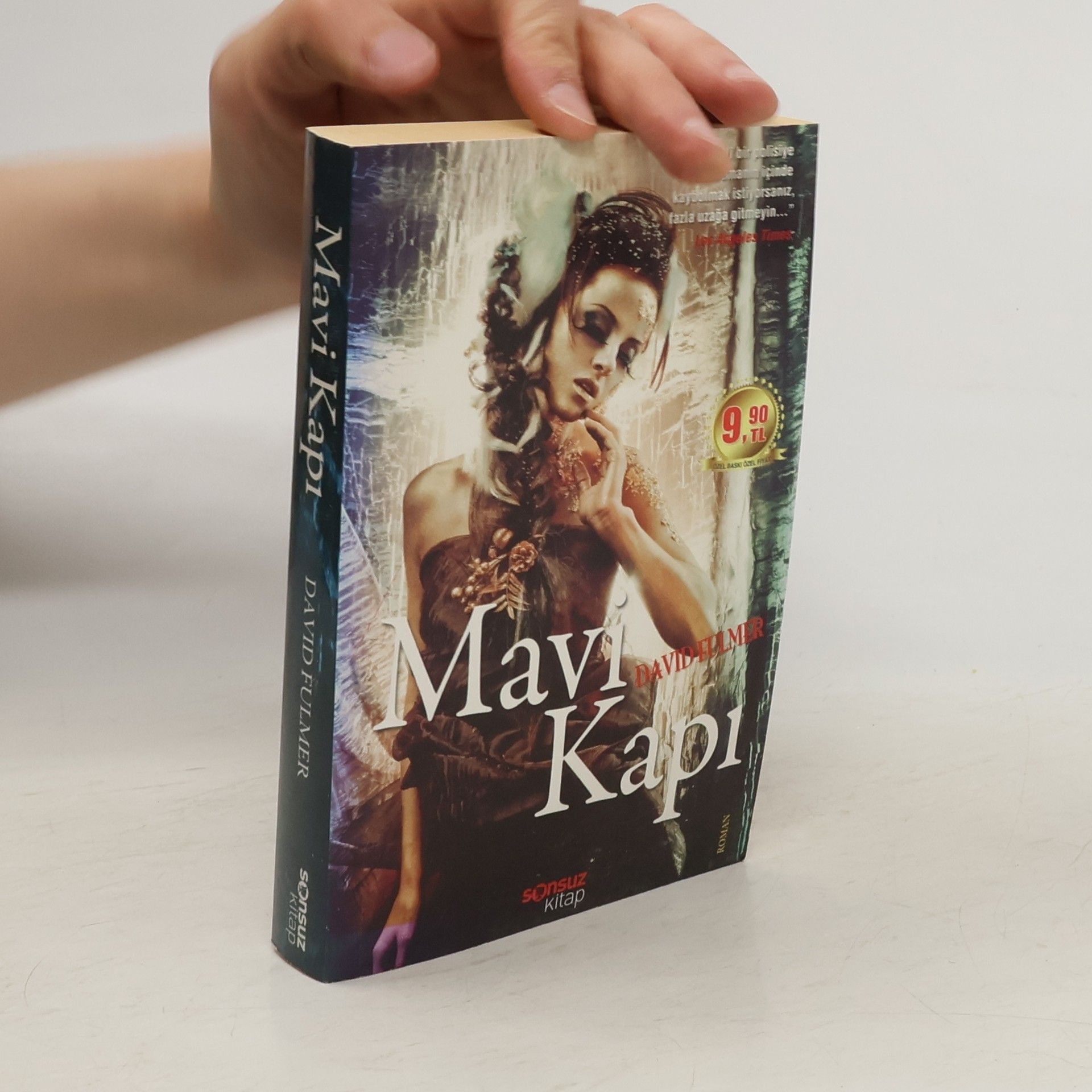 David Fulmer Mavi Kapı