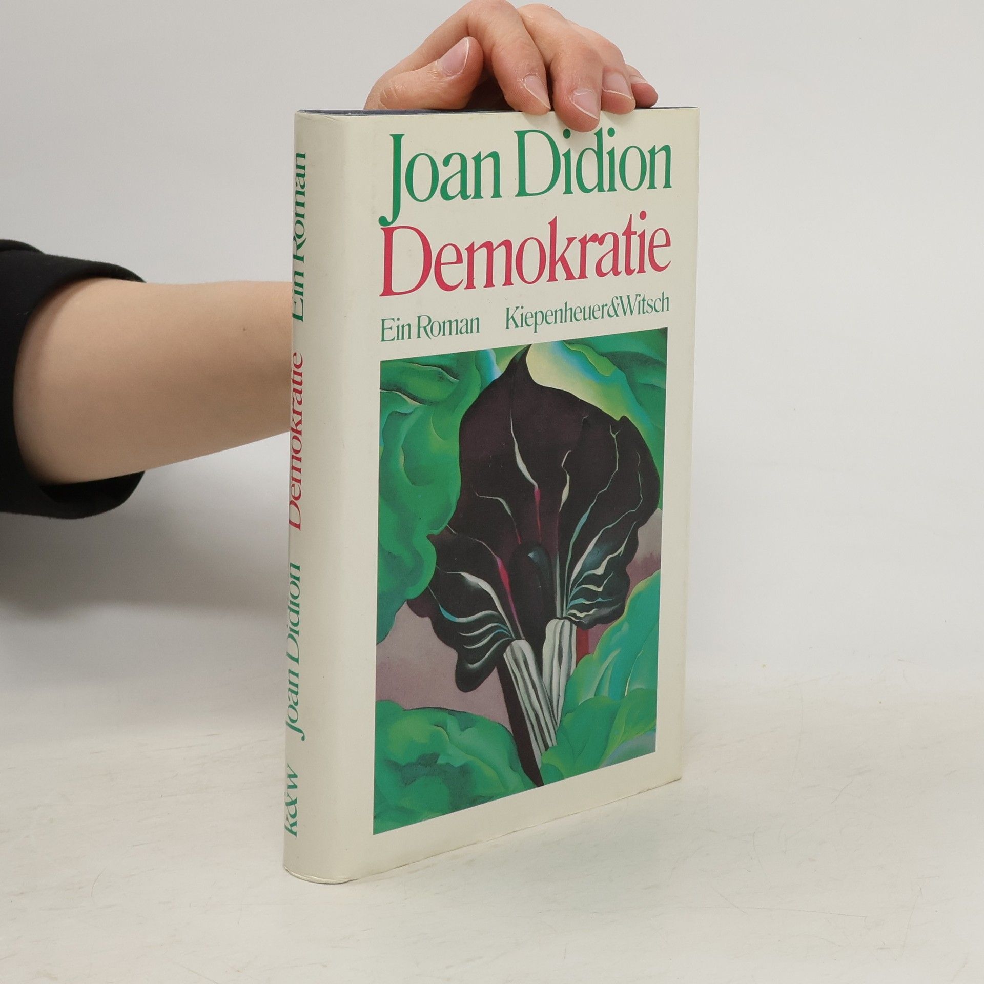 Joan Didion Demokratie