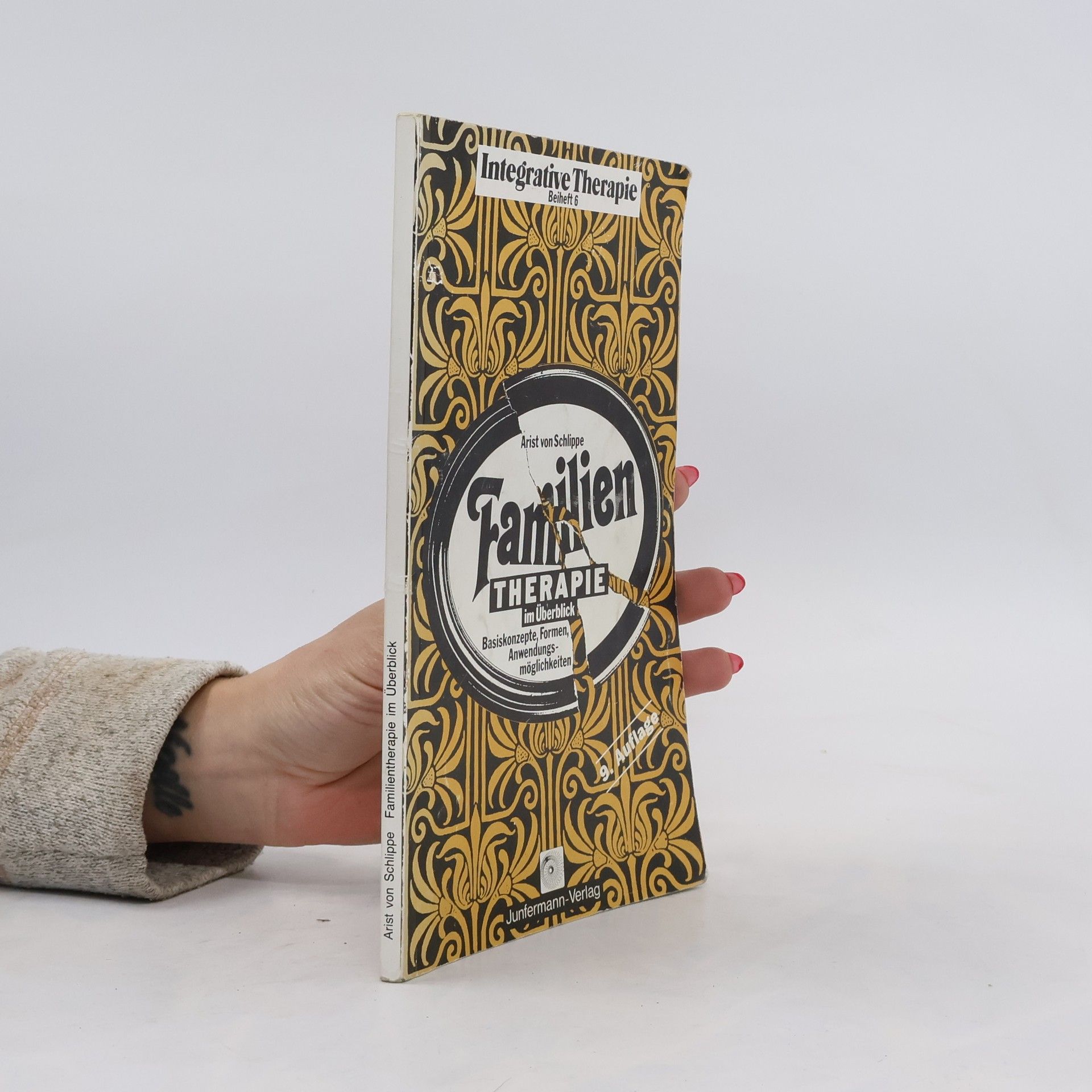 Arist von Schlippe Familientherapie im Überblick