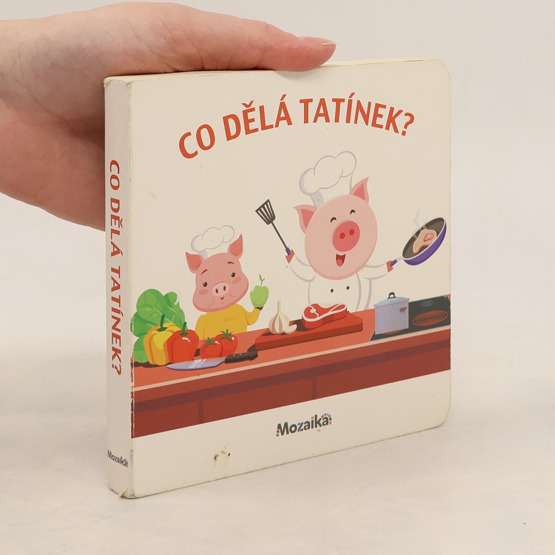 Autorenkollektiv Co dělá tatínek?