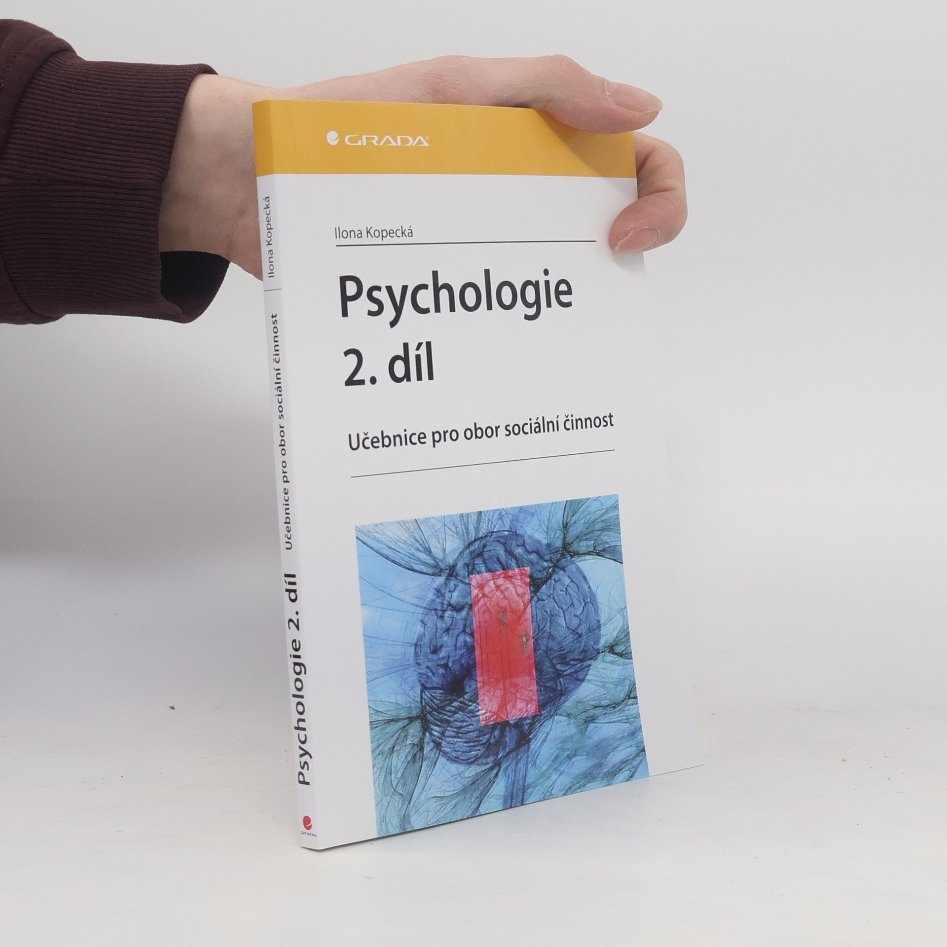Ilona Kopecká Psychologie : učebnice pro obor sociální činnost. 2. díl