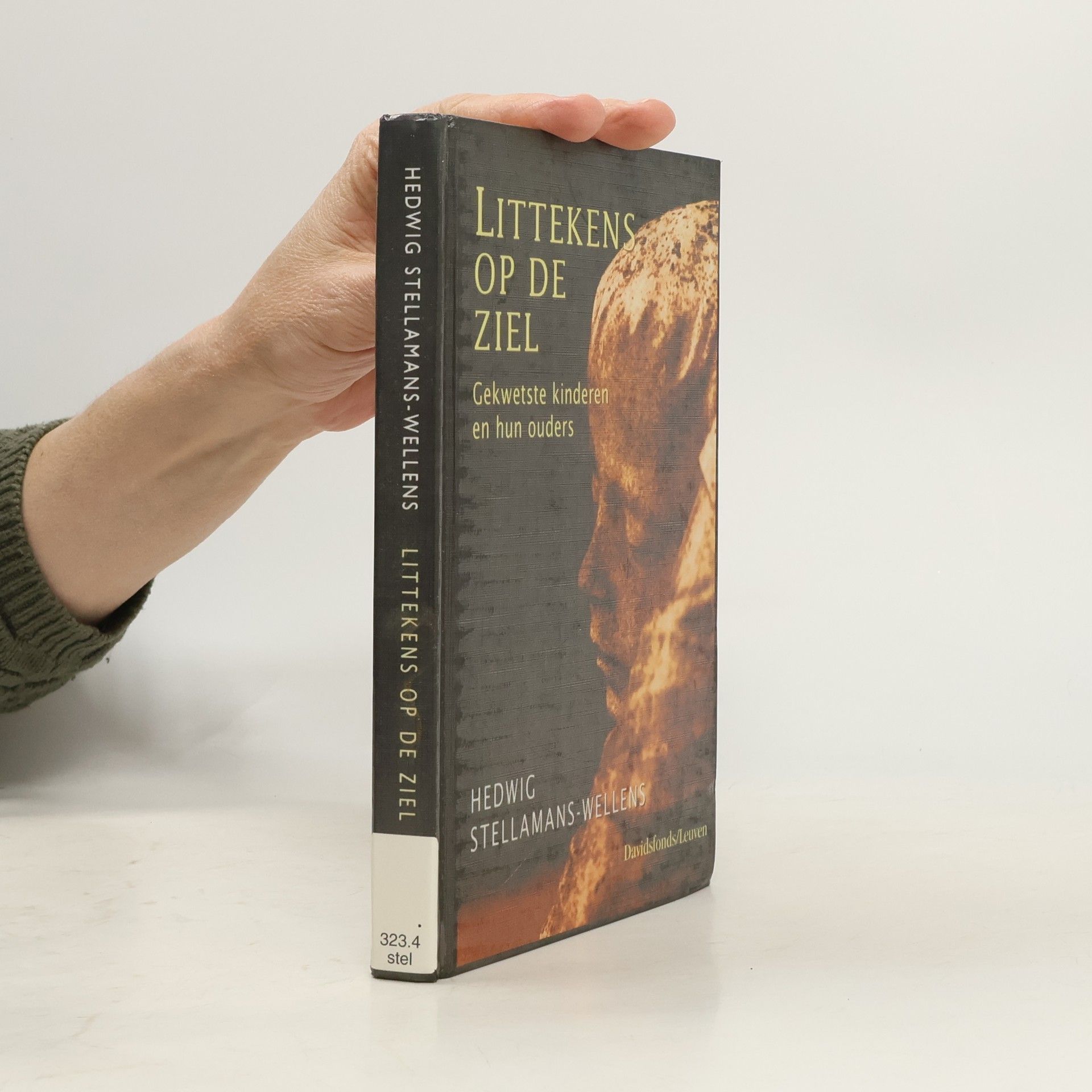 Hedwig Stellamans-Wellens Littekens op de ziel