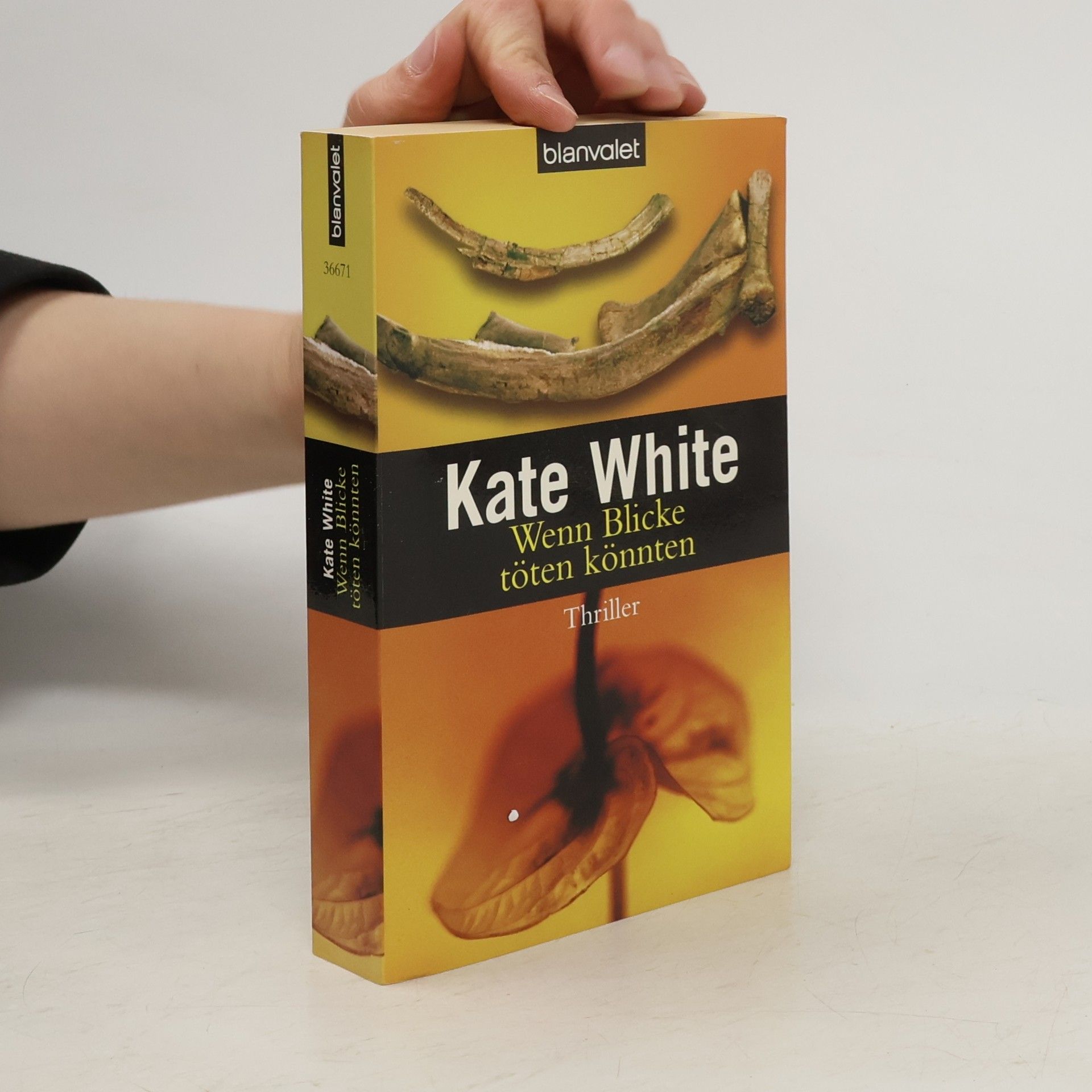 Kate White Wenn Blicke töten könnten. Thriller