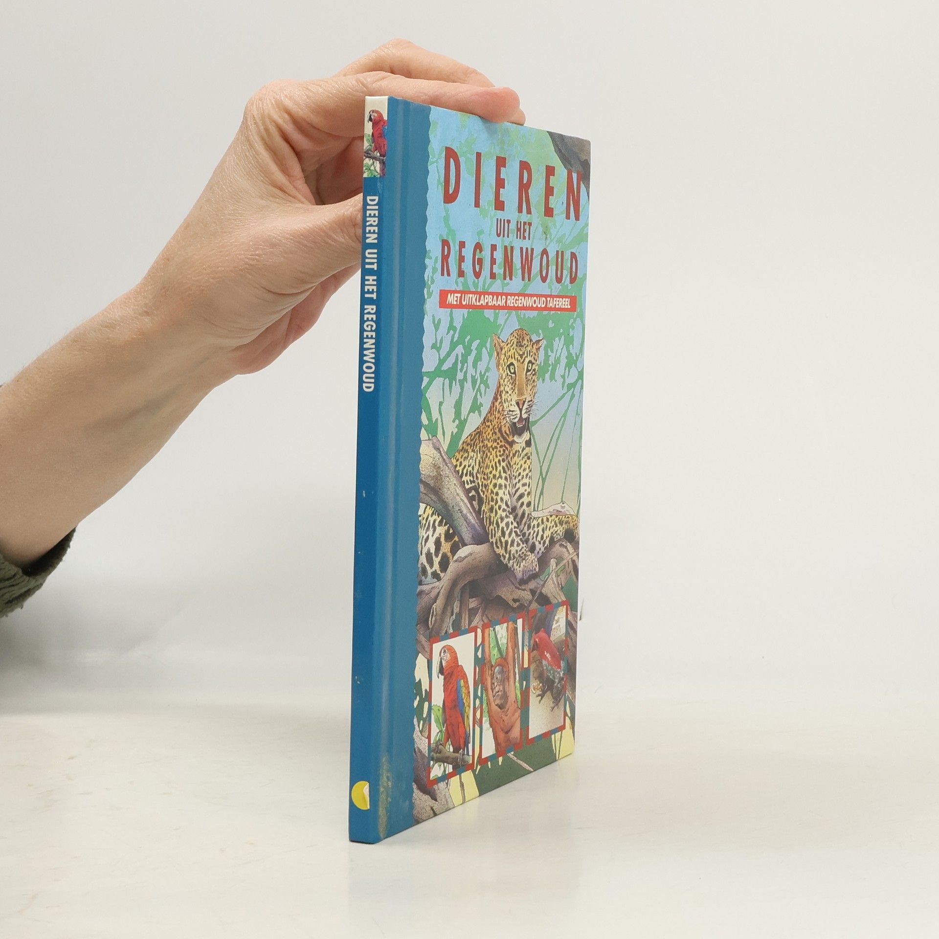 David Alderton Dieren uit het regenwoud